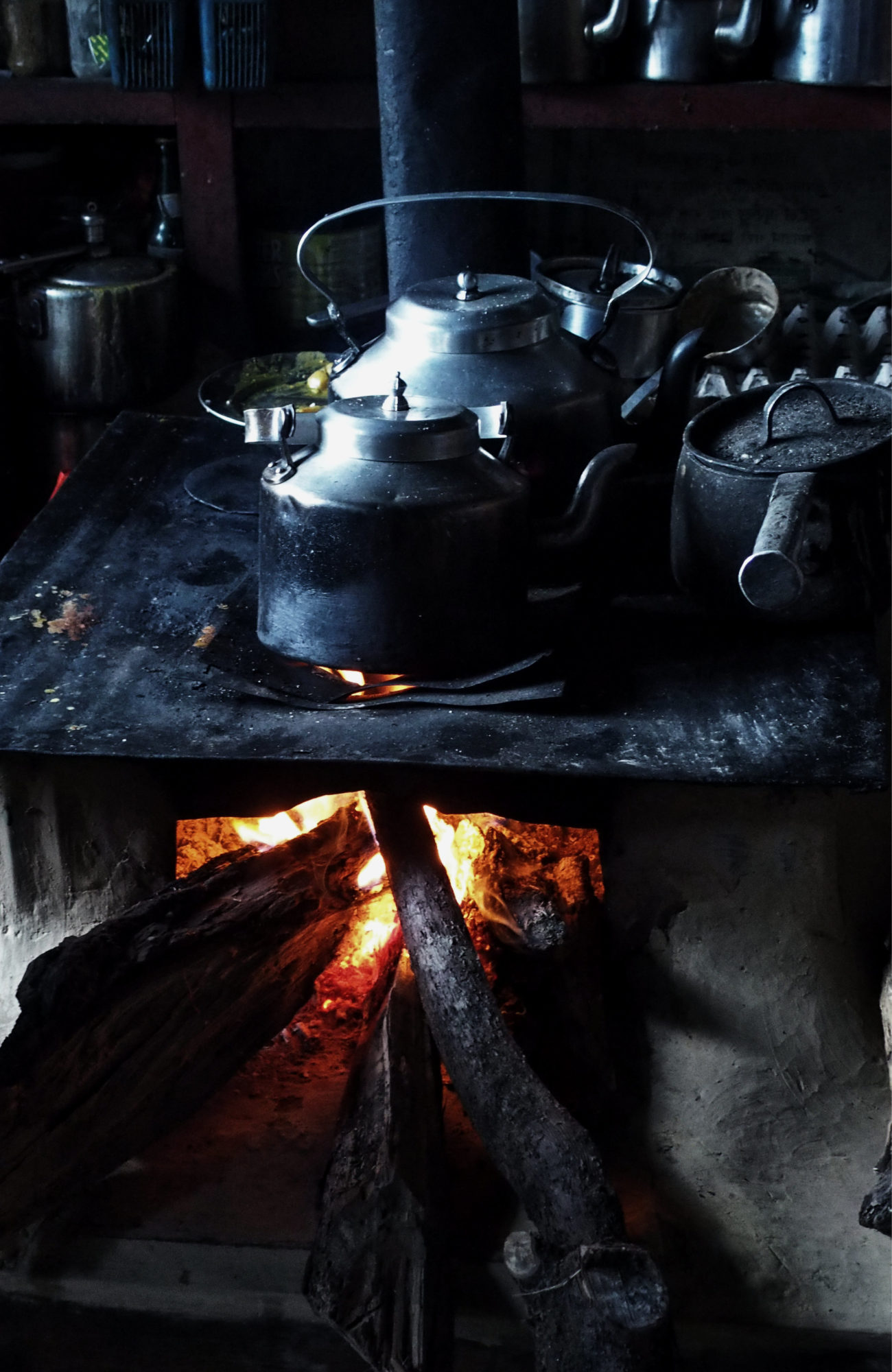 Kochen auf dem Feuer