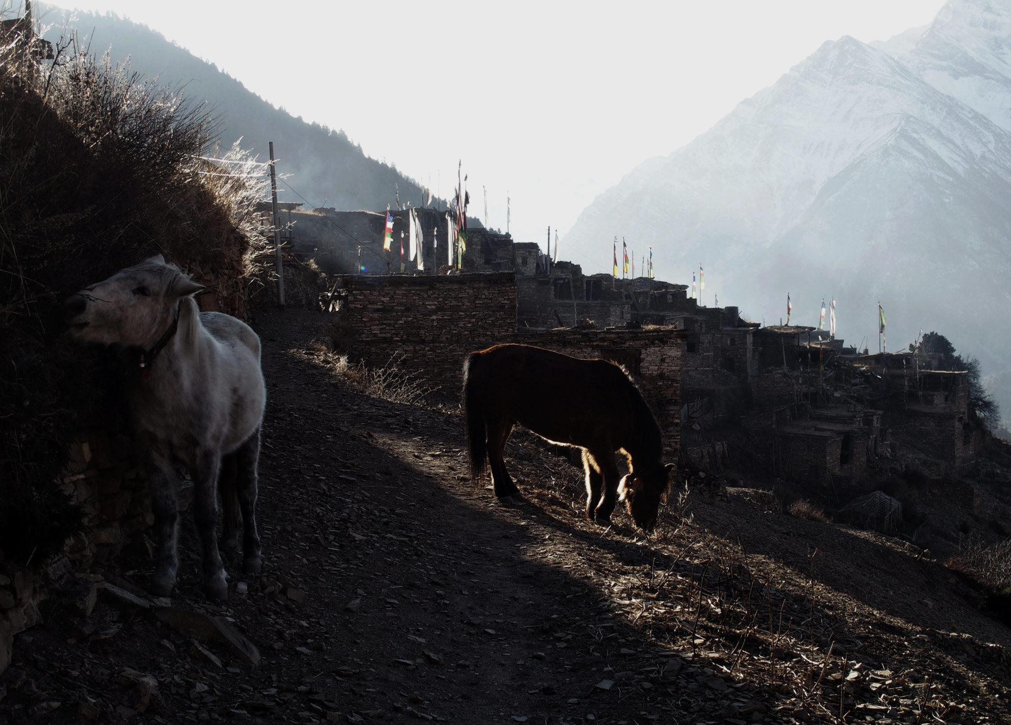 Sonnenlicht am Morgen in Ghyaru