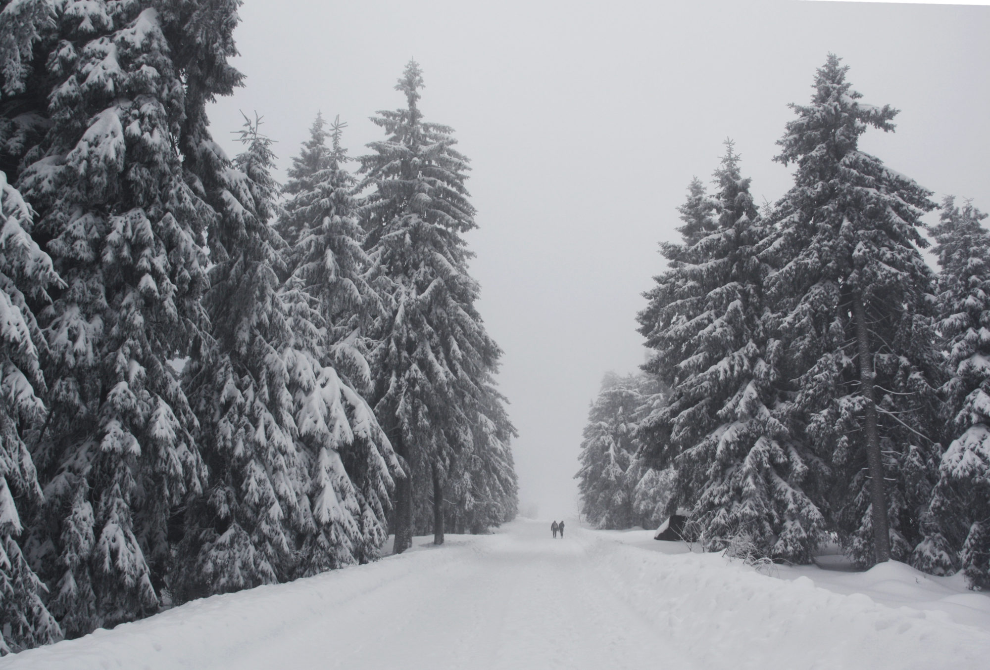 Aufstieg zum Schneeberg auf halbwegs gespurtem Weg
