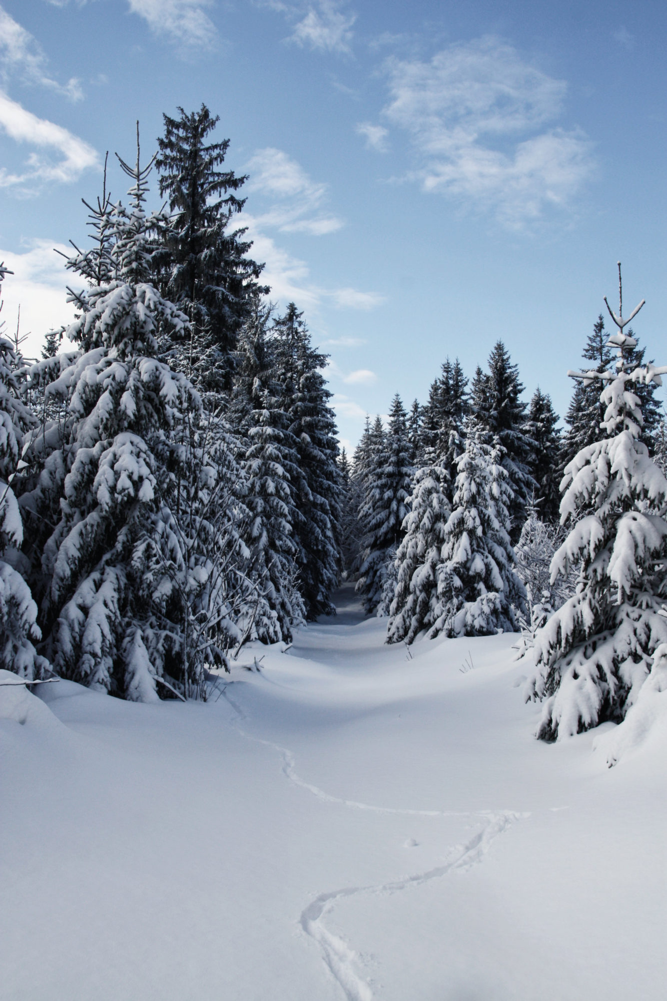 Winter Wanderweg im Fichtelgebirge Traumhaft