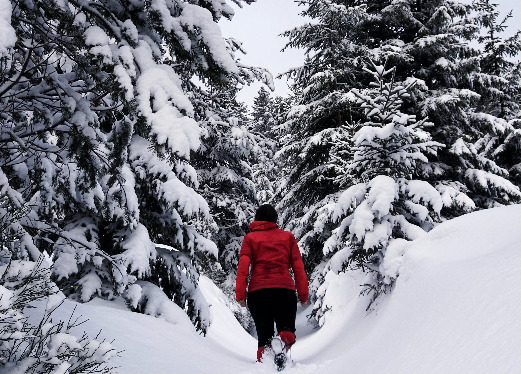 Tiefschnee auf dem Höhenweg im Fichtelgebirge