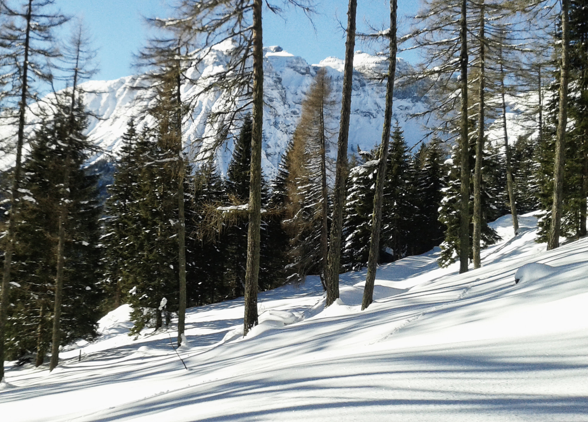 Schneeschuhwandern Alpen
