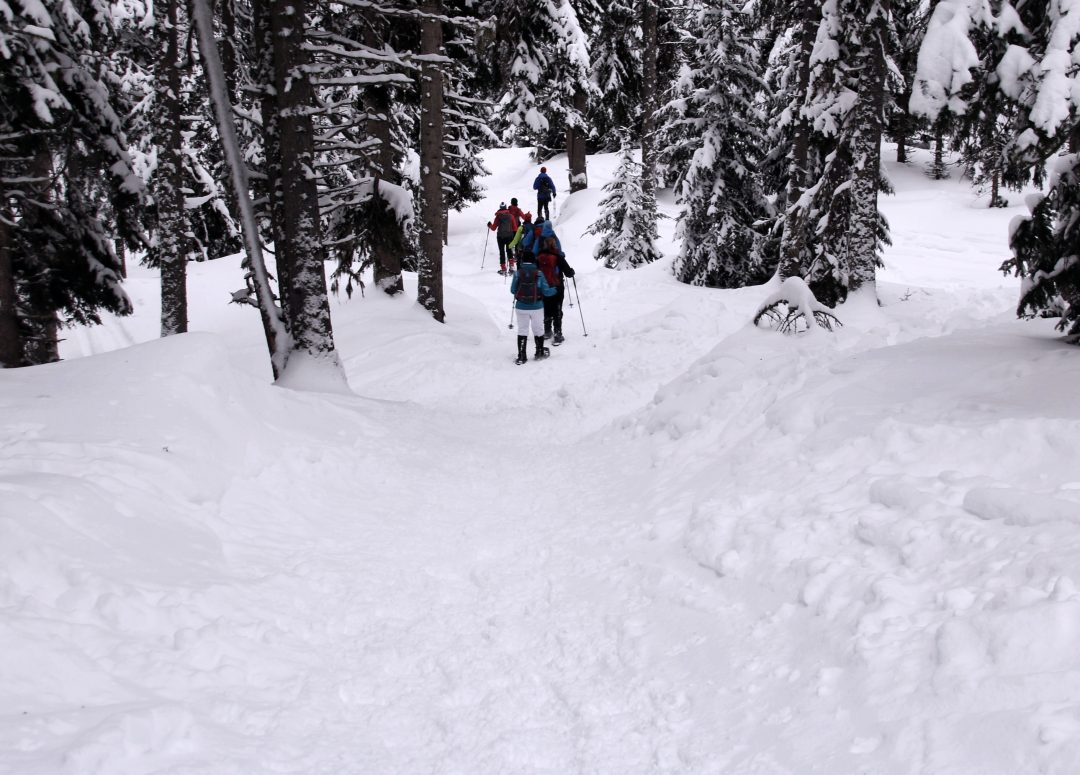 Schneeschuhwandern abwärts Gruppe