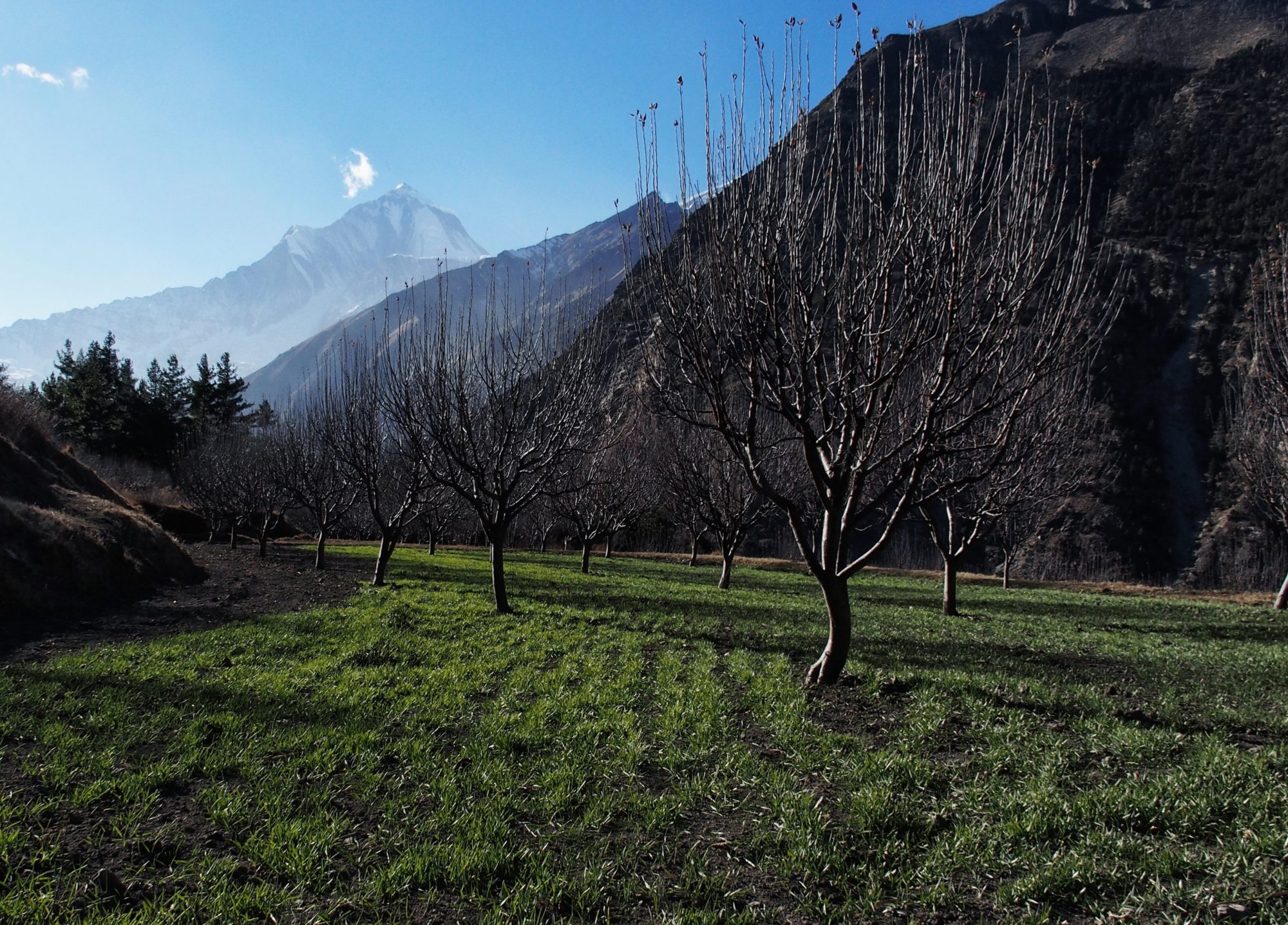 Aussicht in Chamang