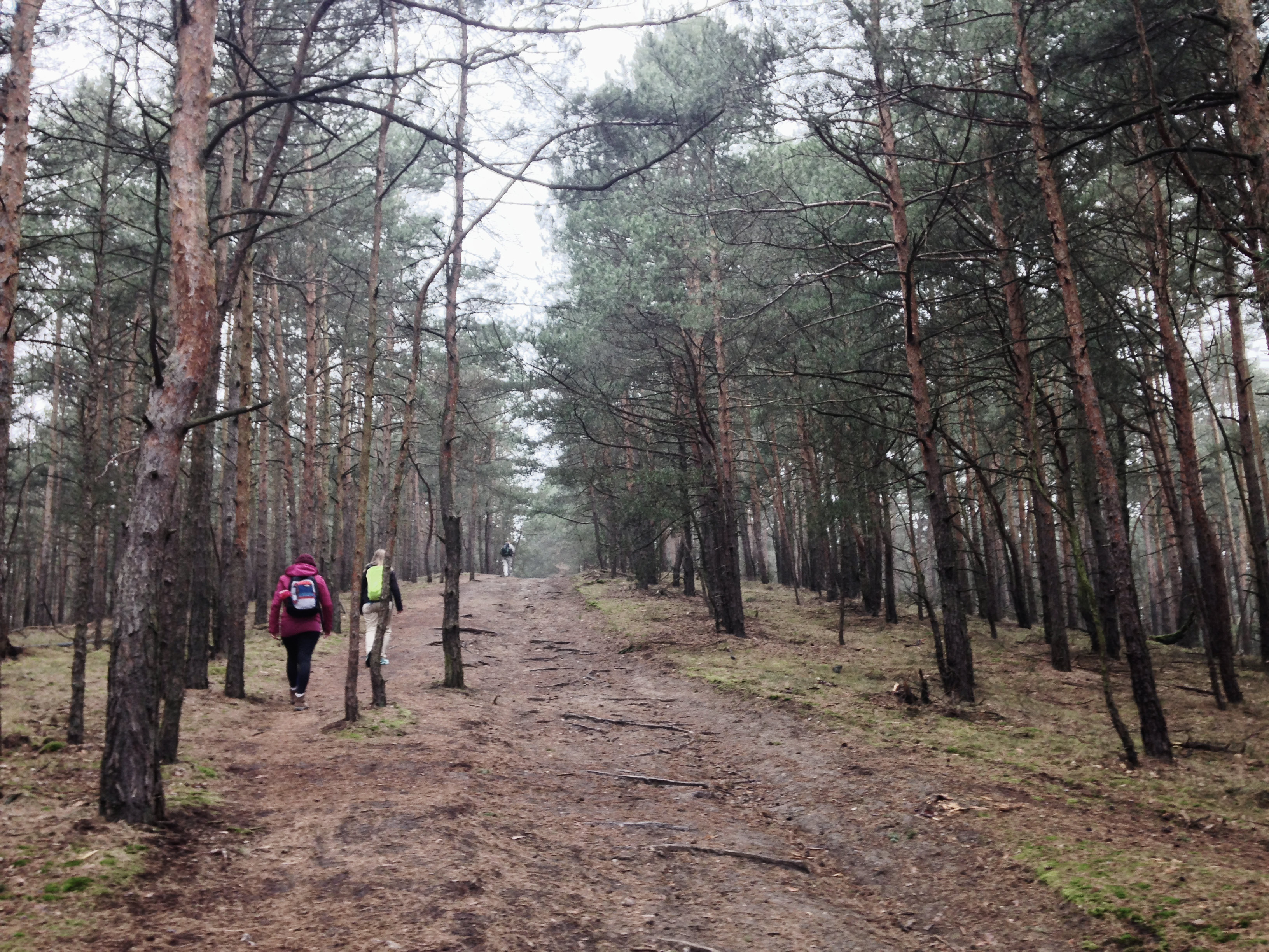 Wandern Brandenburg, Vorbereitung Wandermarathon