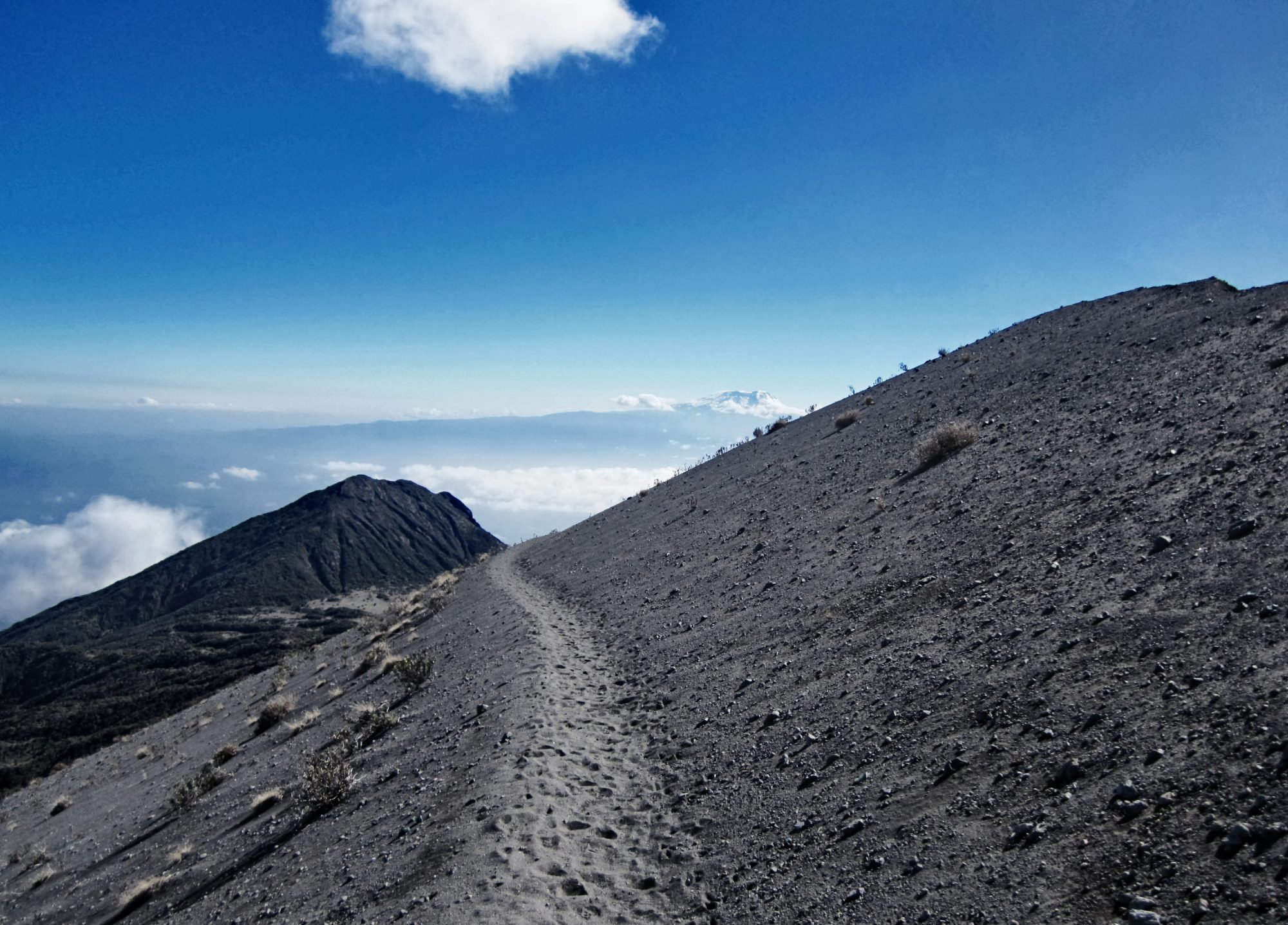 Wanderweg am Mount Meru mit Kilimandscharo Blick Mount Meru, Mount Meru Besteigung, Tour, Erfahrungsbericht, Afrika, Tansania, Bergtour