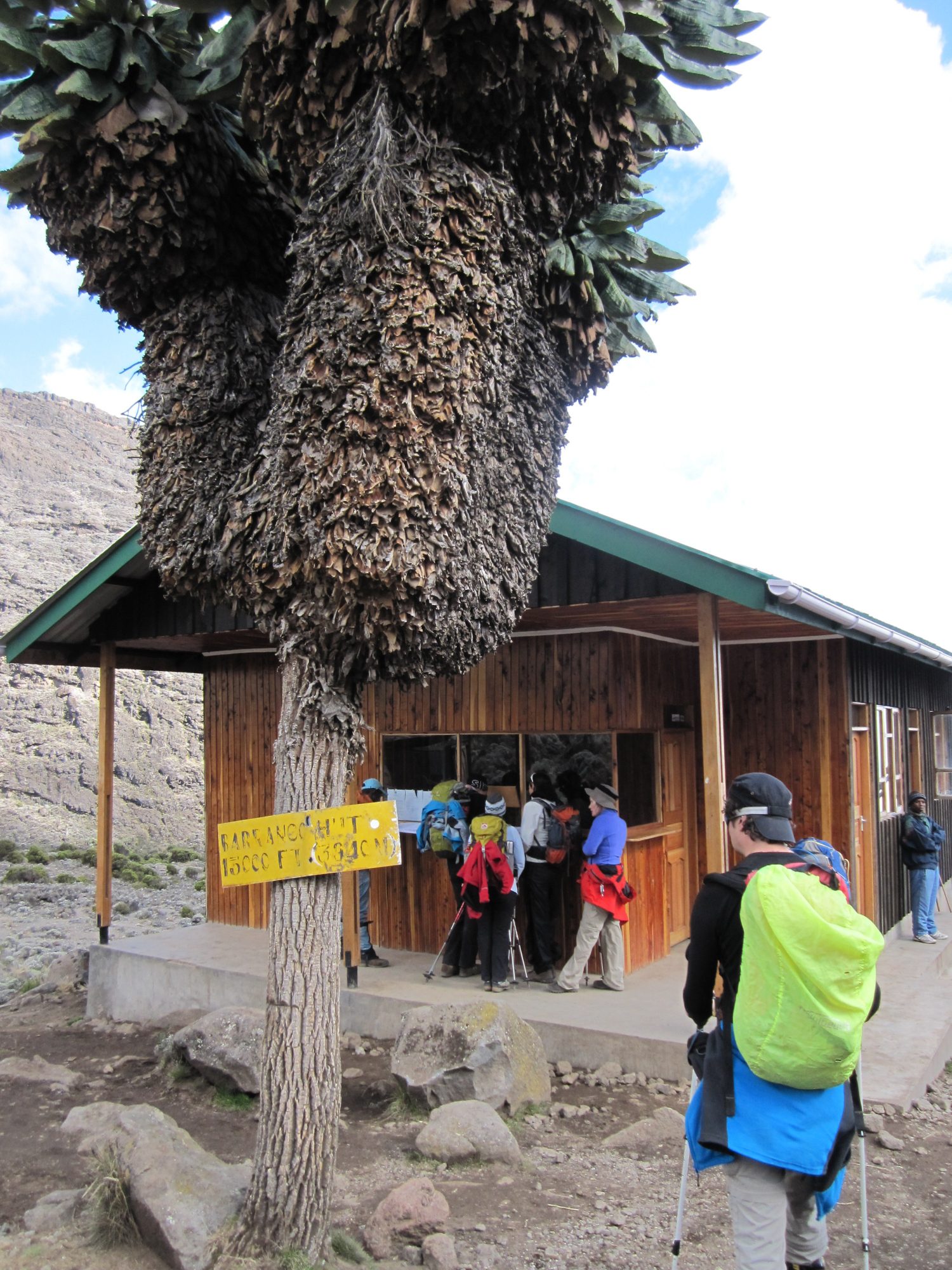 Check-in, Barranco Camp, Kilimandscharo, Kilimandscharo besteigen, Tansania, Afrika, Kilimandscharo Tour, Erfahrungsbericht, Machame Route