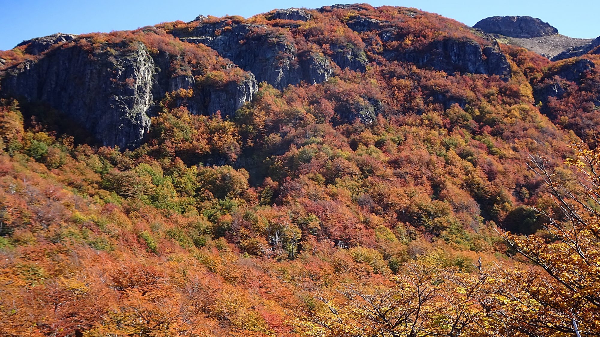 Fjella El Bolson Wanderung Patagonien Warton Dedo Gordo Encanto Blanco Wanderroute Wandern Herbstwälder Berge