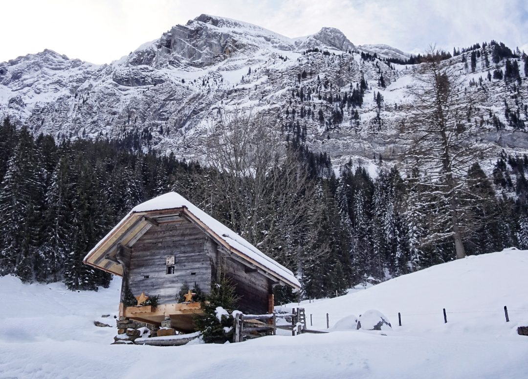 Schweiz, Luzern, Eigenthal, Winterwanderung Pilatus, Schneeschuhwandern