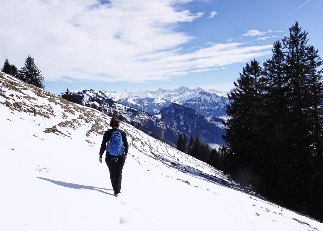 Schweiz, Luzern, Zürich, Rigi, Winterwanderung