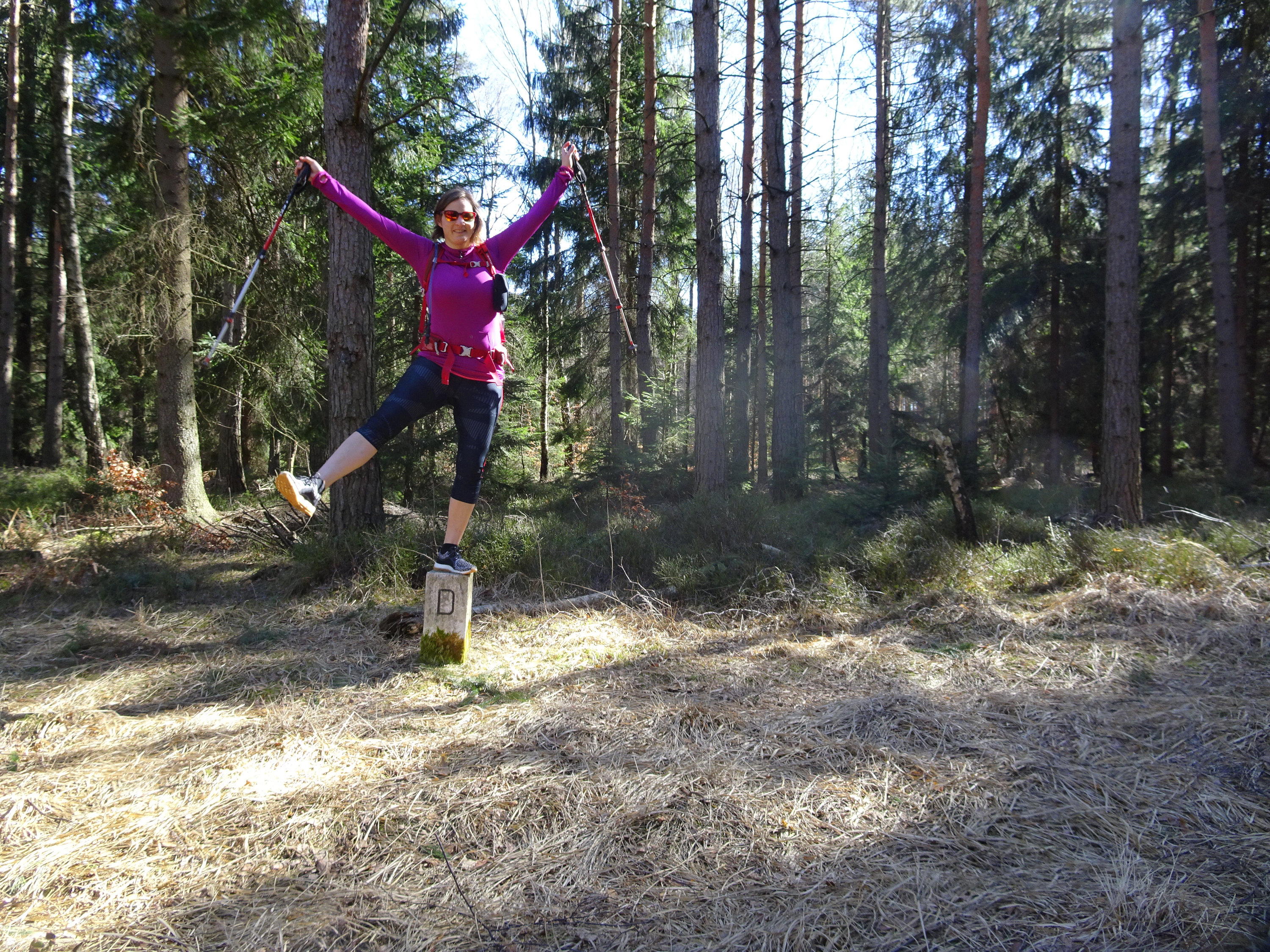 Forststeig, Elbsandsteingebirge, Sächsische Schweiz, Böhmische Schweiz, Trekking, Wandern, Wanderung
