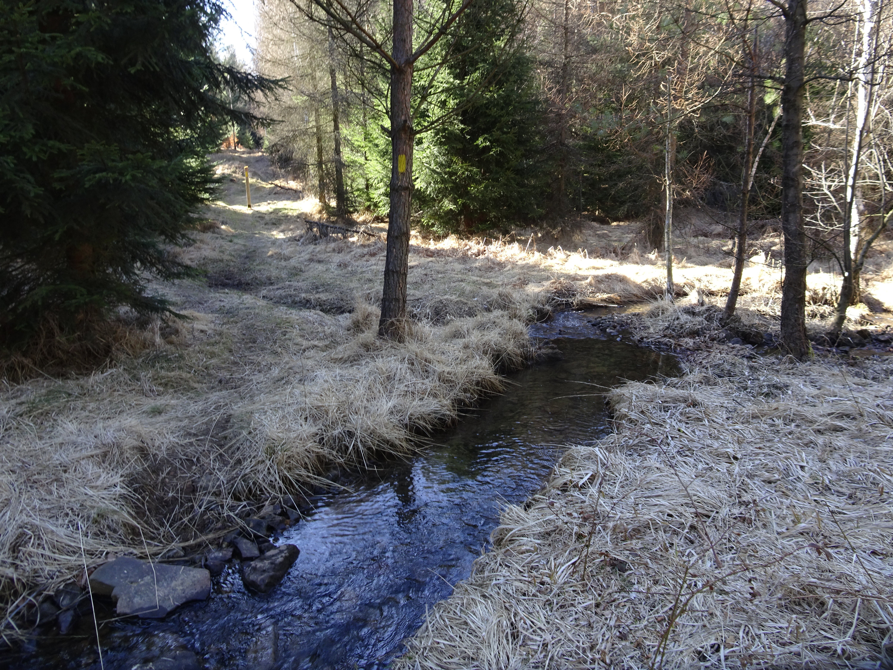 Forststeig, Elbsandsteingebirge, Sächsische Schweiz, Böhmische Schweiz, Trekking, Wandern, Wanderung