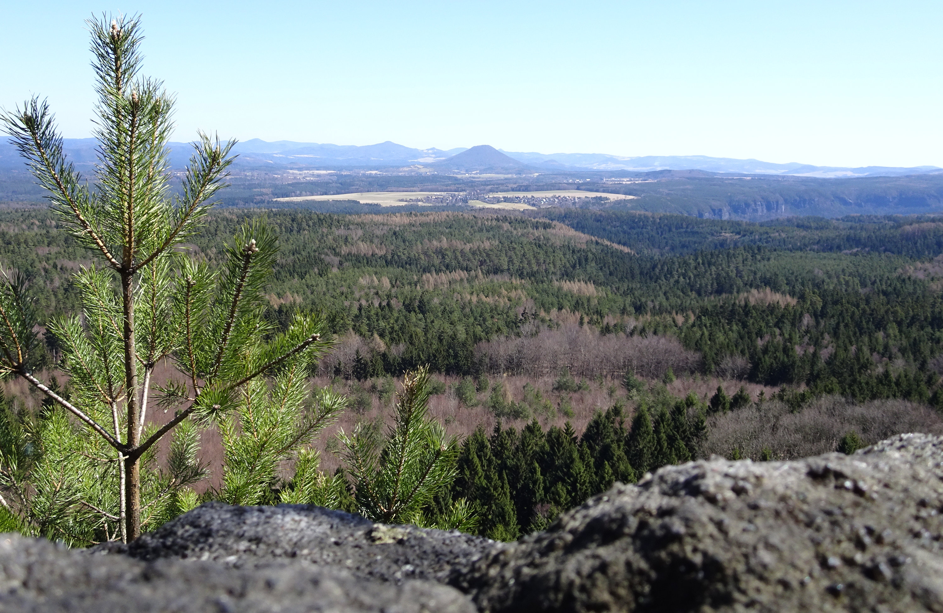 Forststeig, Elbsandsteingebirge, Sächsische Schweiz, Böhmische Schweiz, Trekking, Wandern, Wanderung