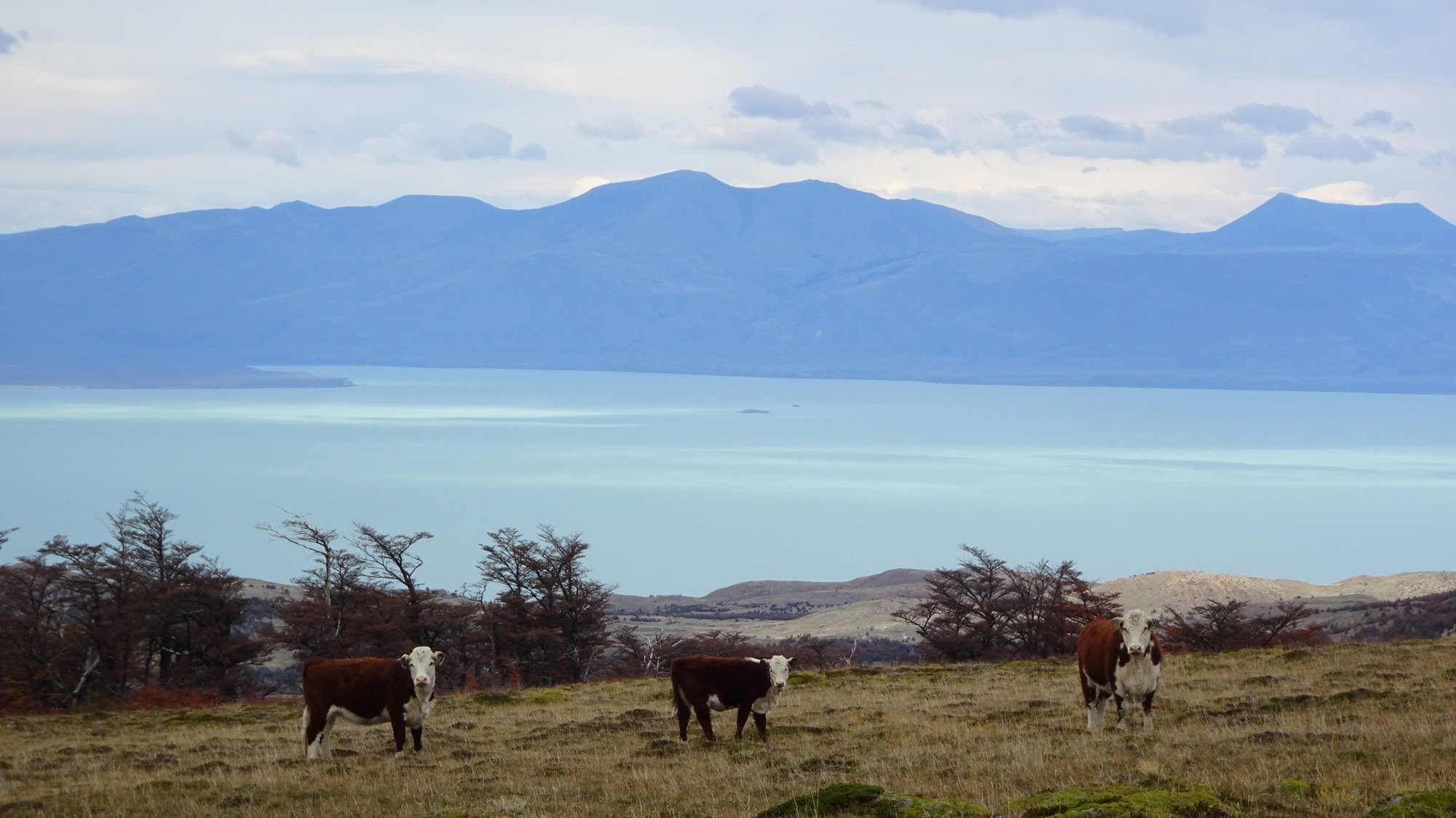 Huemul Circuit, El Chaltén, Patagonien, Argentinien, Wanderung, Trekking