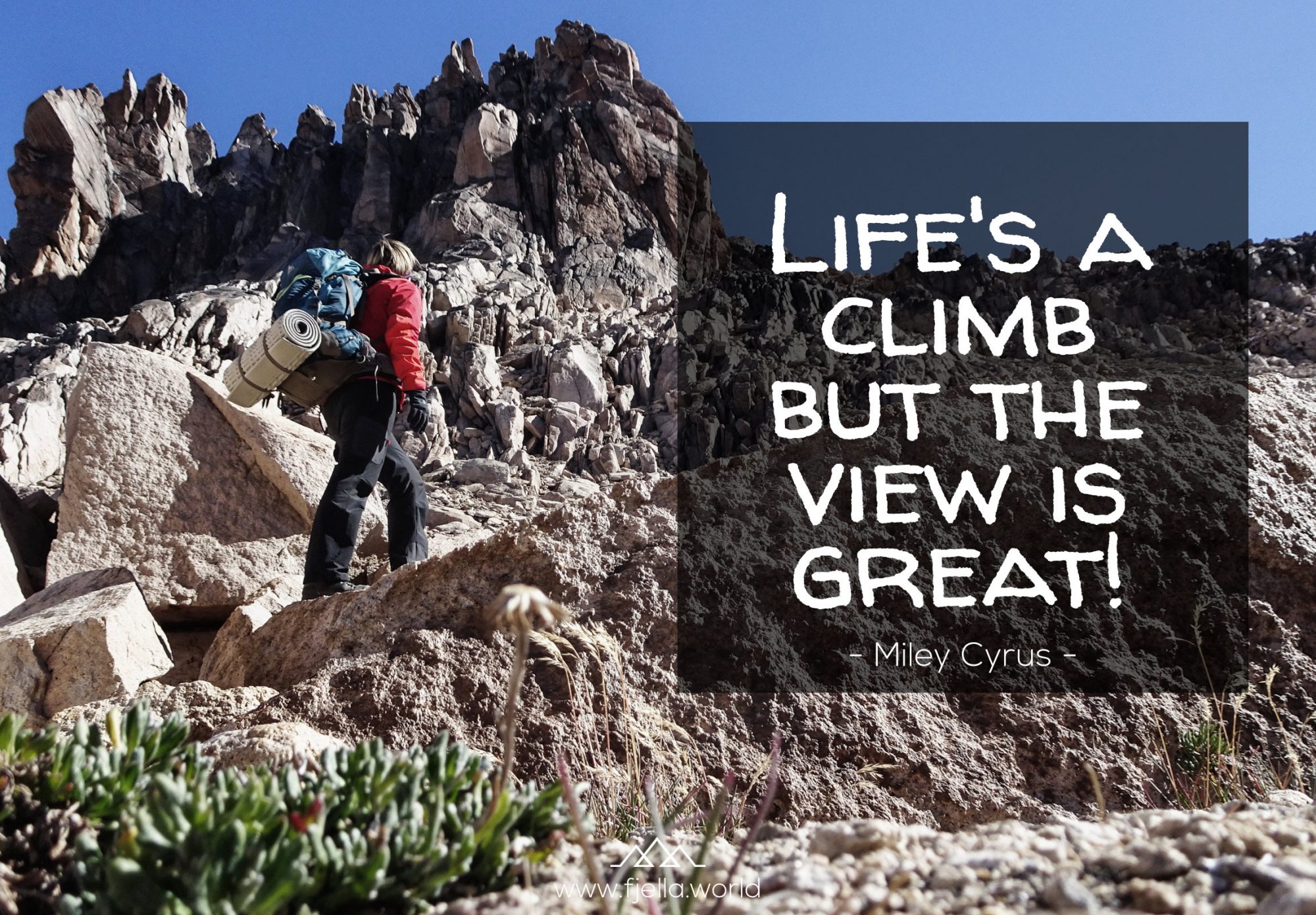 Life's a climb but the view is great. Wandersprüche, Sprüche Wandern, Zitate Wandern, Wanderzitate, Bergzitate, Motivation Zitate, Inspiration Zitate, Motivation