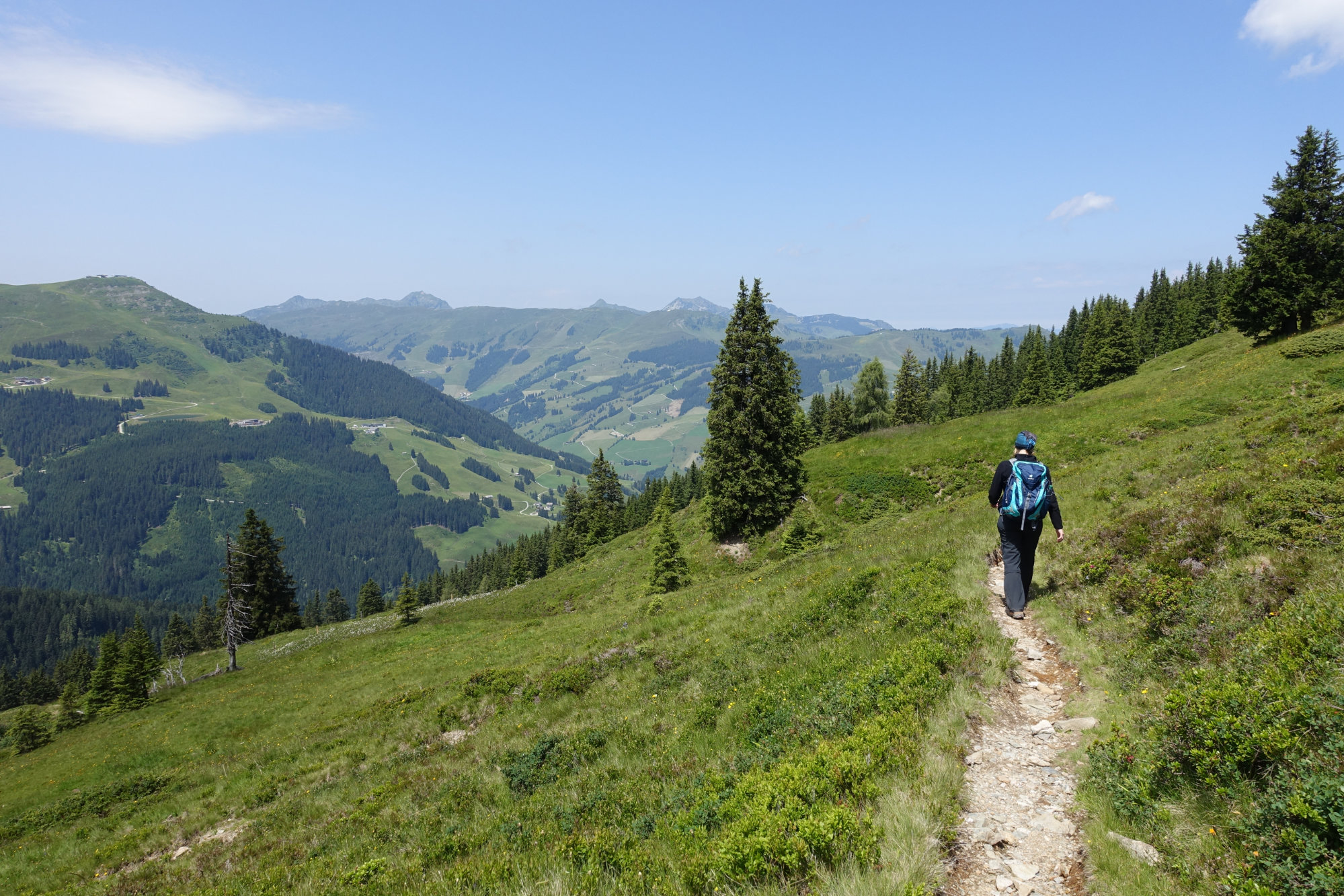 Auf dem Weg zur Hacklbergeralm