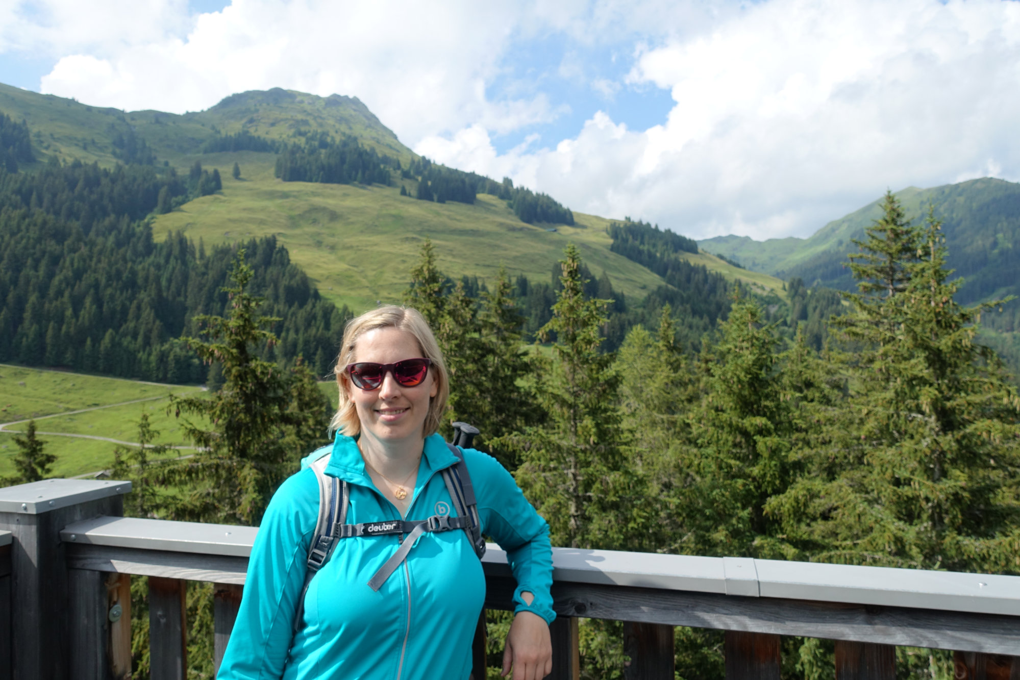 Blick vom Baumzipfelweg
