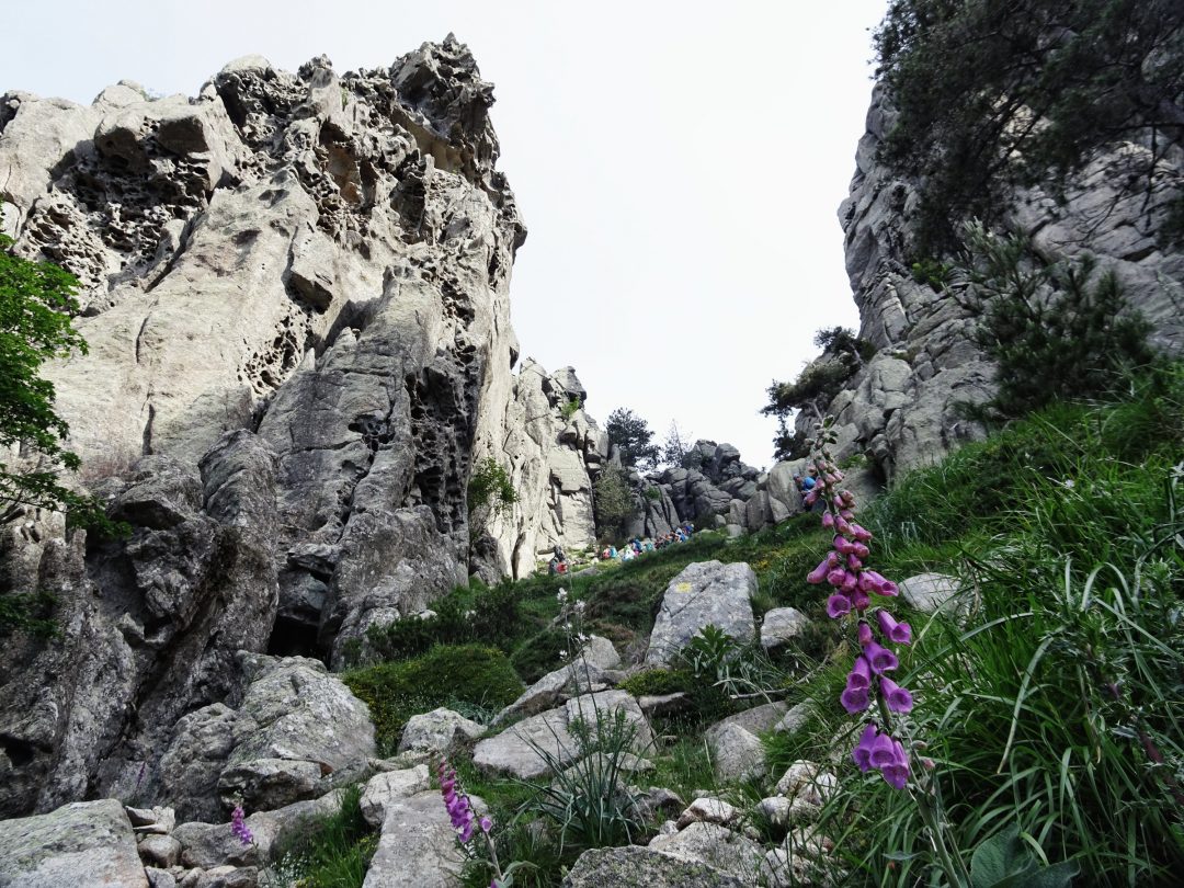 Verwitterte Felsen am GR20, Korsika, GR20 Weitwanderweg, Wandern, Berge, Frankreich