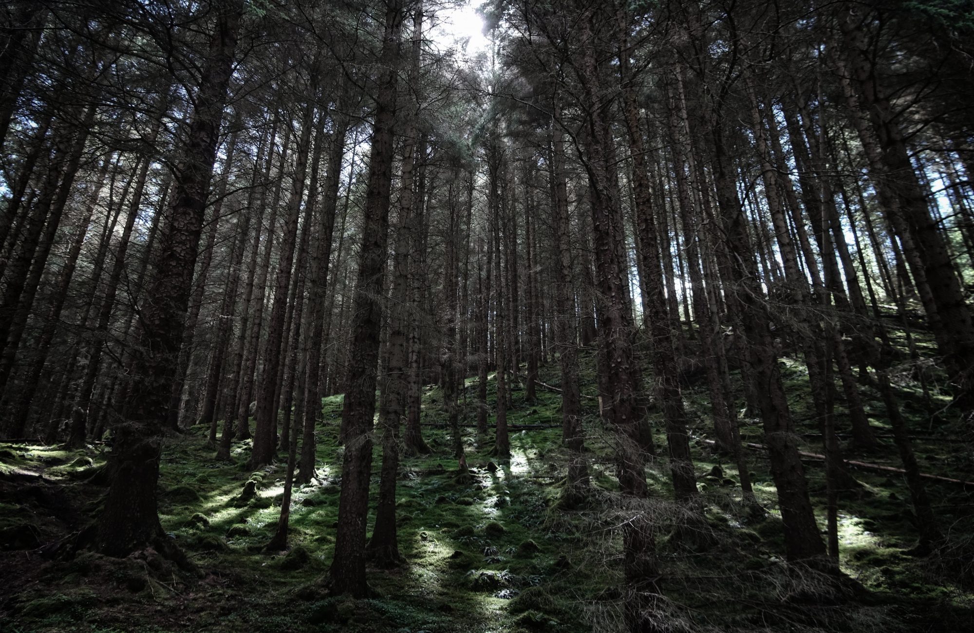 West Highland Way, Schottland, Wanderung, Weitwandern, Trekking, Highlands