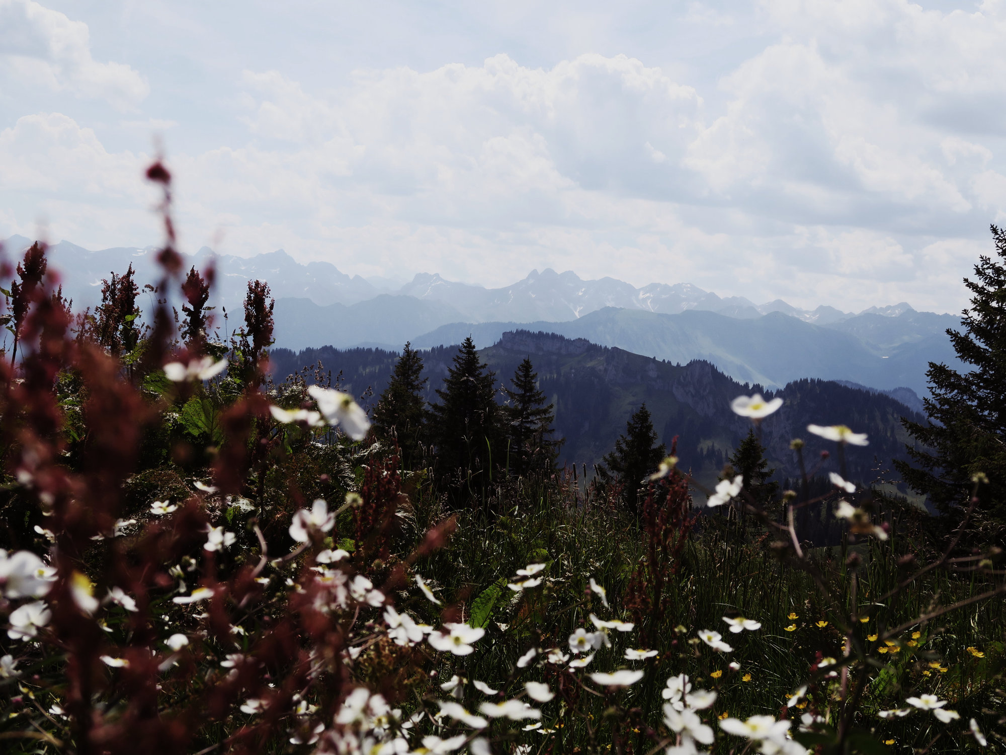 Lieblingsberg Riedberger Horn Allgäu Ausblick
