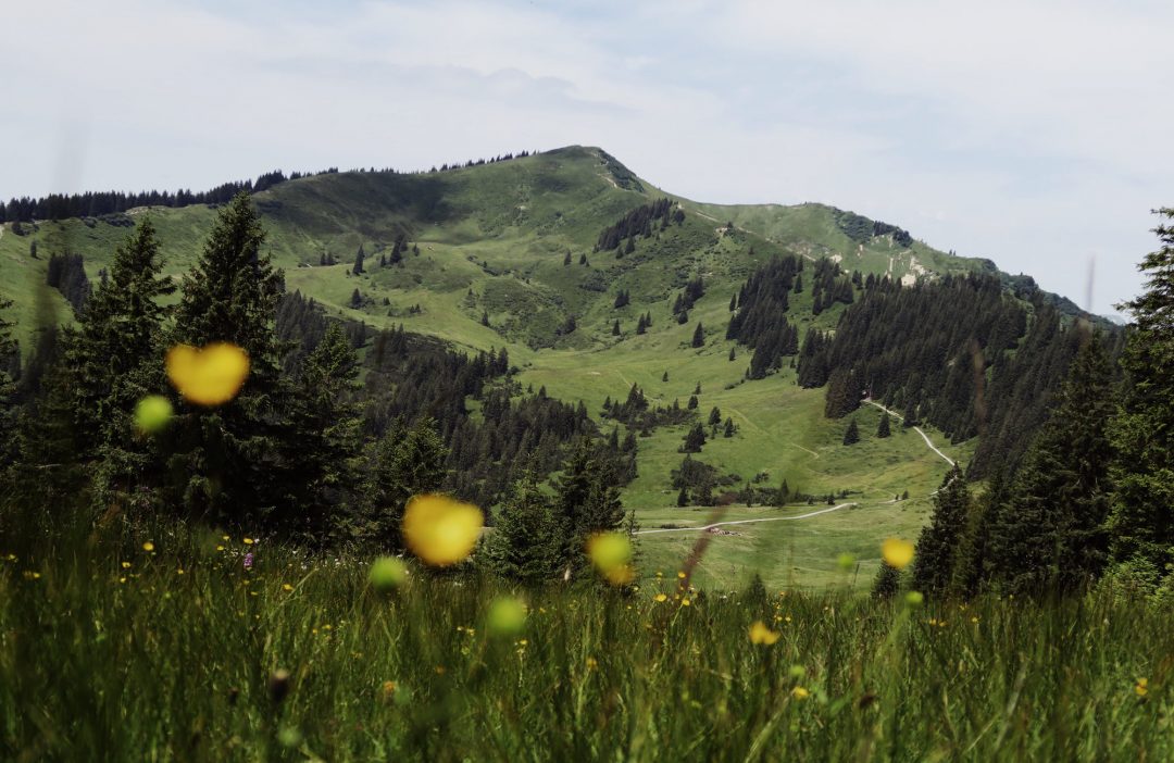 Riedberger Horn Allgäu