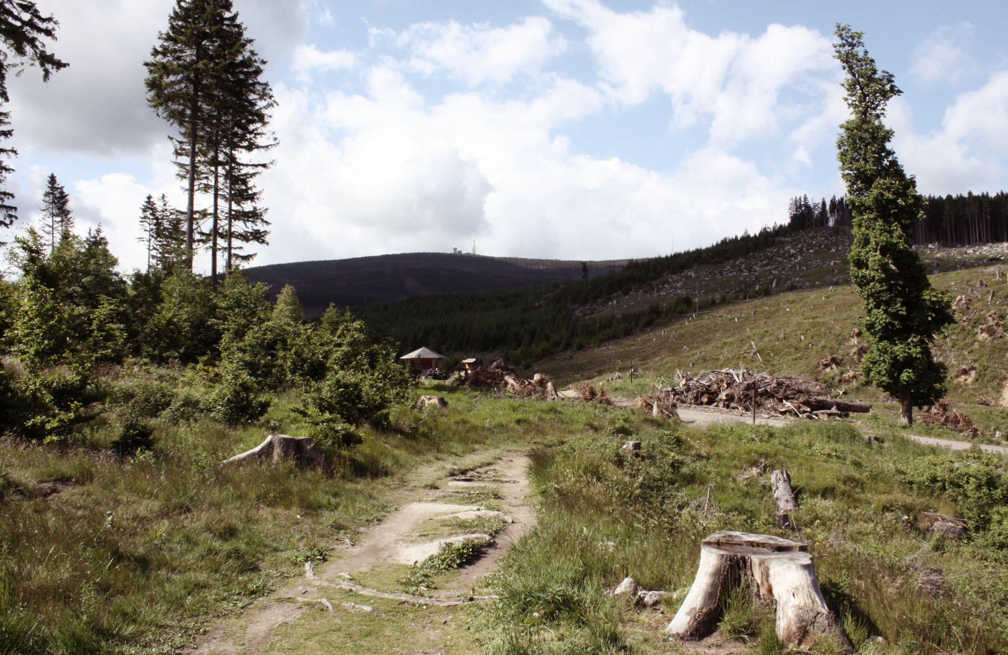 Auf dem Heinrich-Heine-Weg im Harz, Wandern in Deutschland