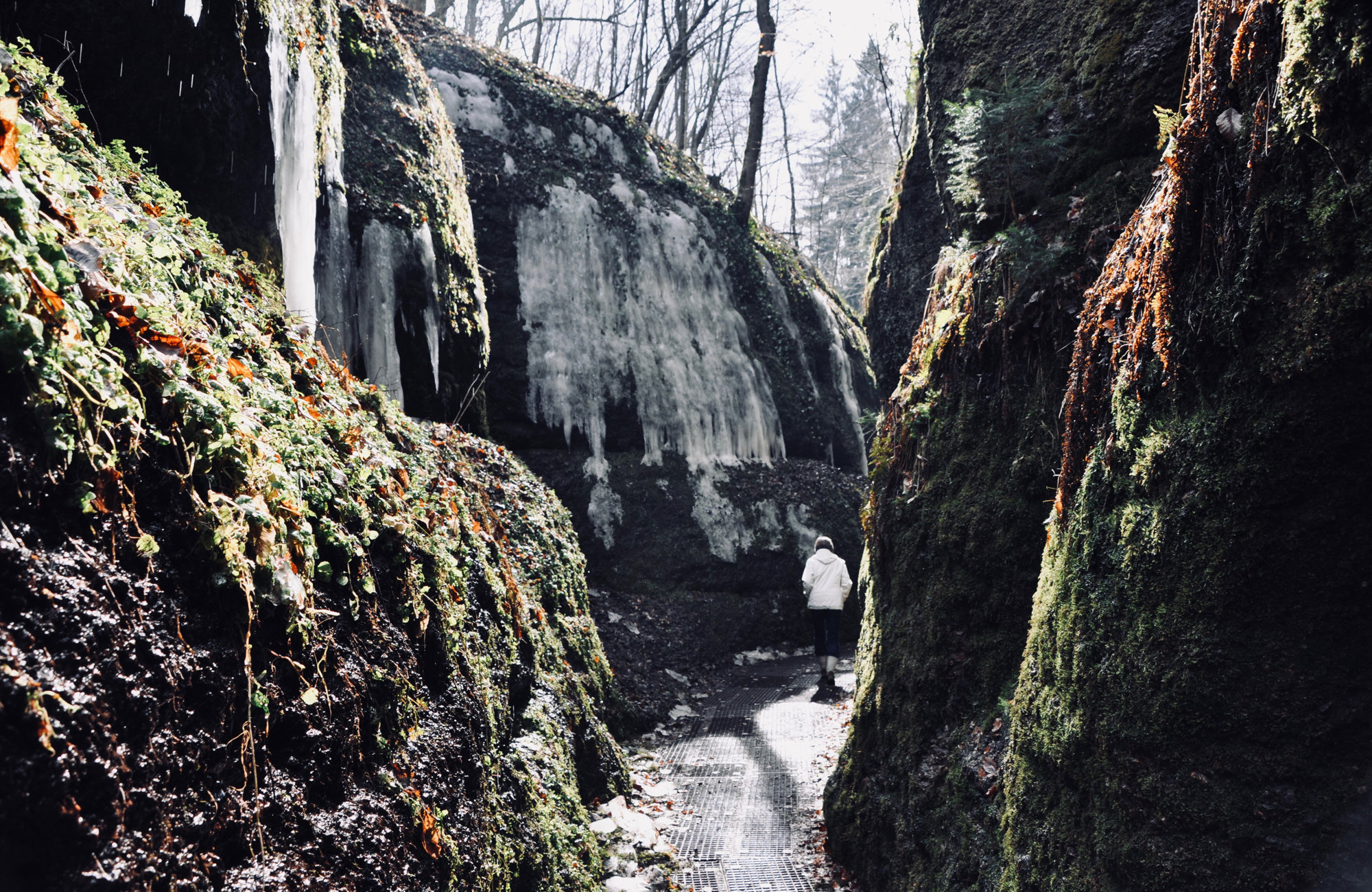 Wandern in Thüringen in der Drachenschlucht, Wandern in Deutschland