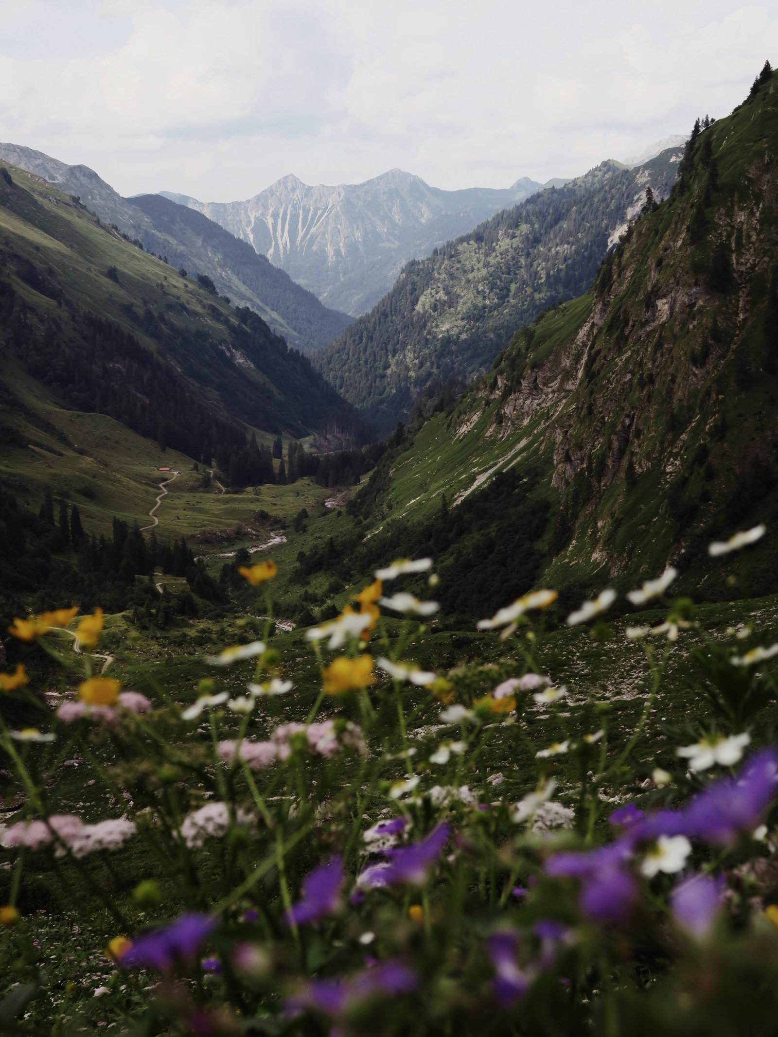 Blick hinunter ins Tal, Hüttentour in den Allgäuer Alpen