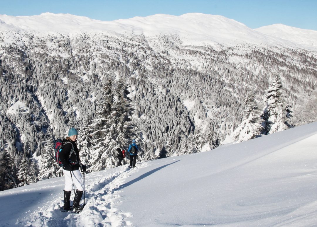 Schneeschuhwandern Abwärts