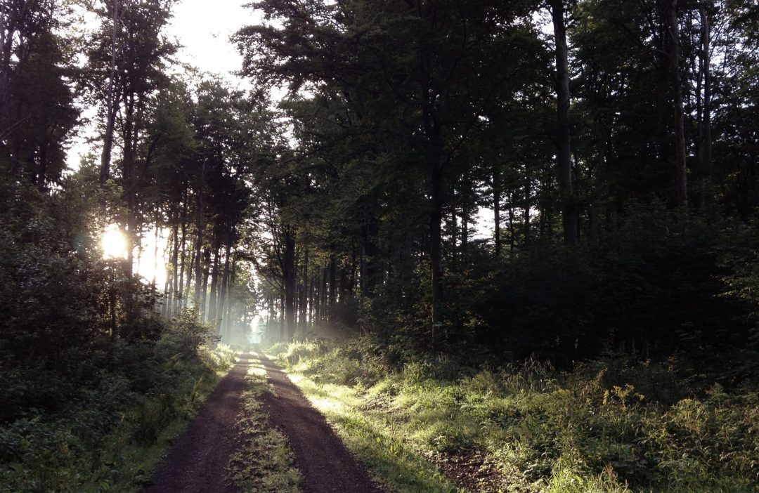 Wandern in Deutschland, Wanderungen, Bundesland