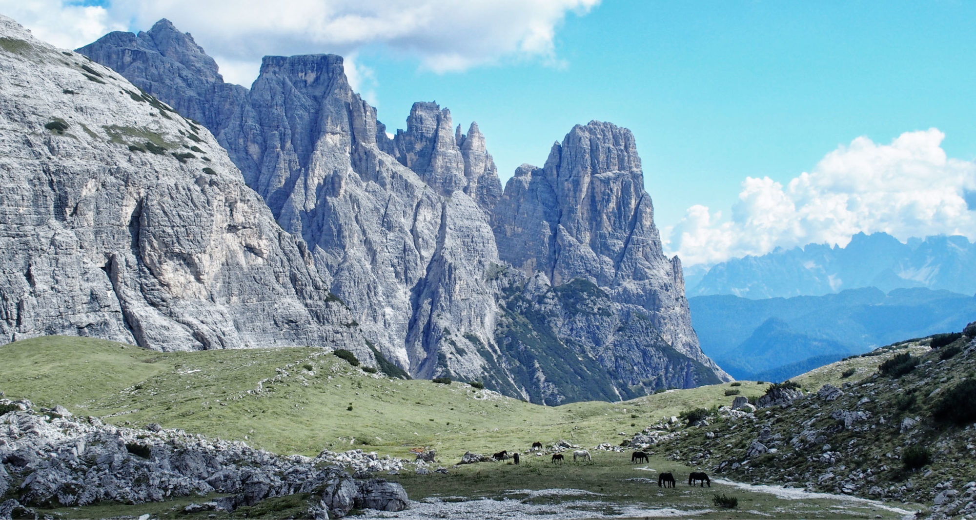 Es gibt sogar Pferde hier oben!