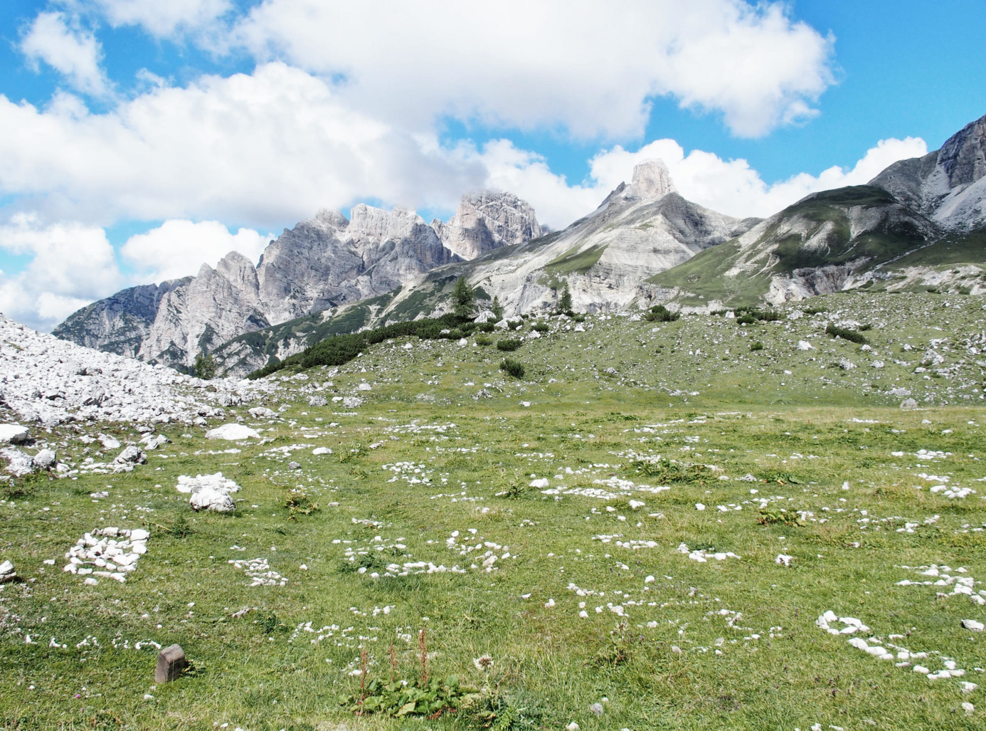 Unglaublich tolle Farbkontraste