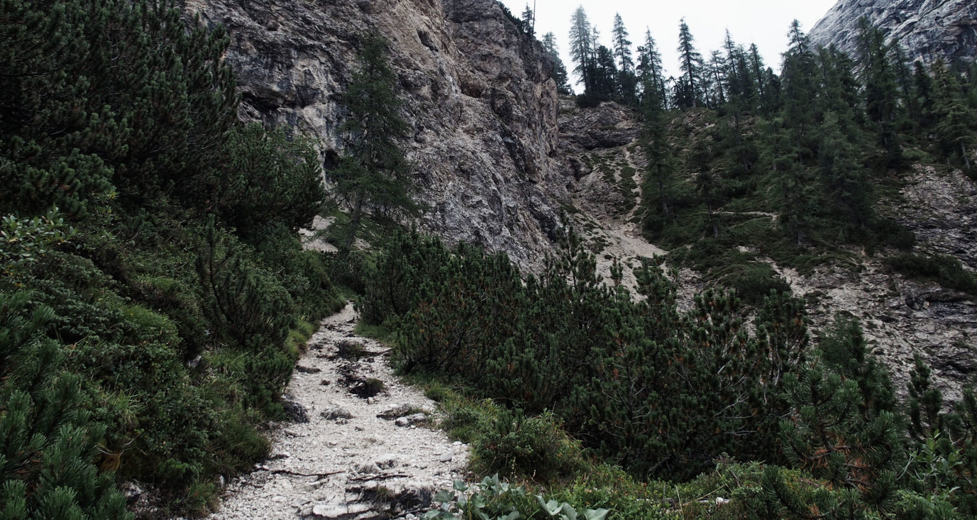 Da geht's hoch auf den Seekofel