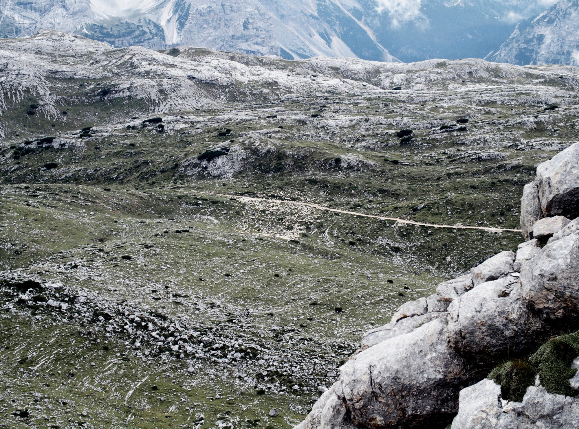 Hunderte von Schafen, könnt ihr sie sehen?