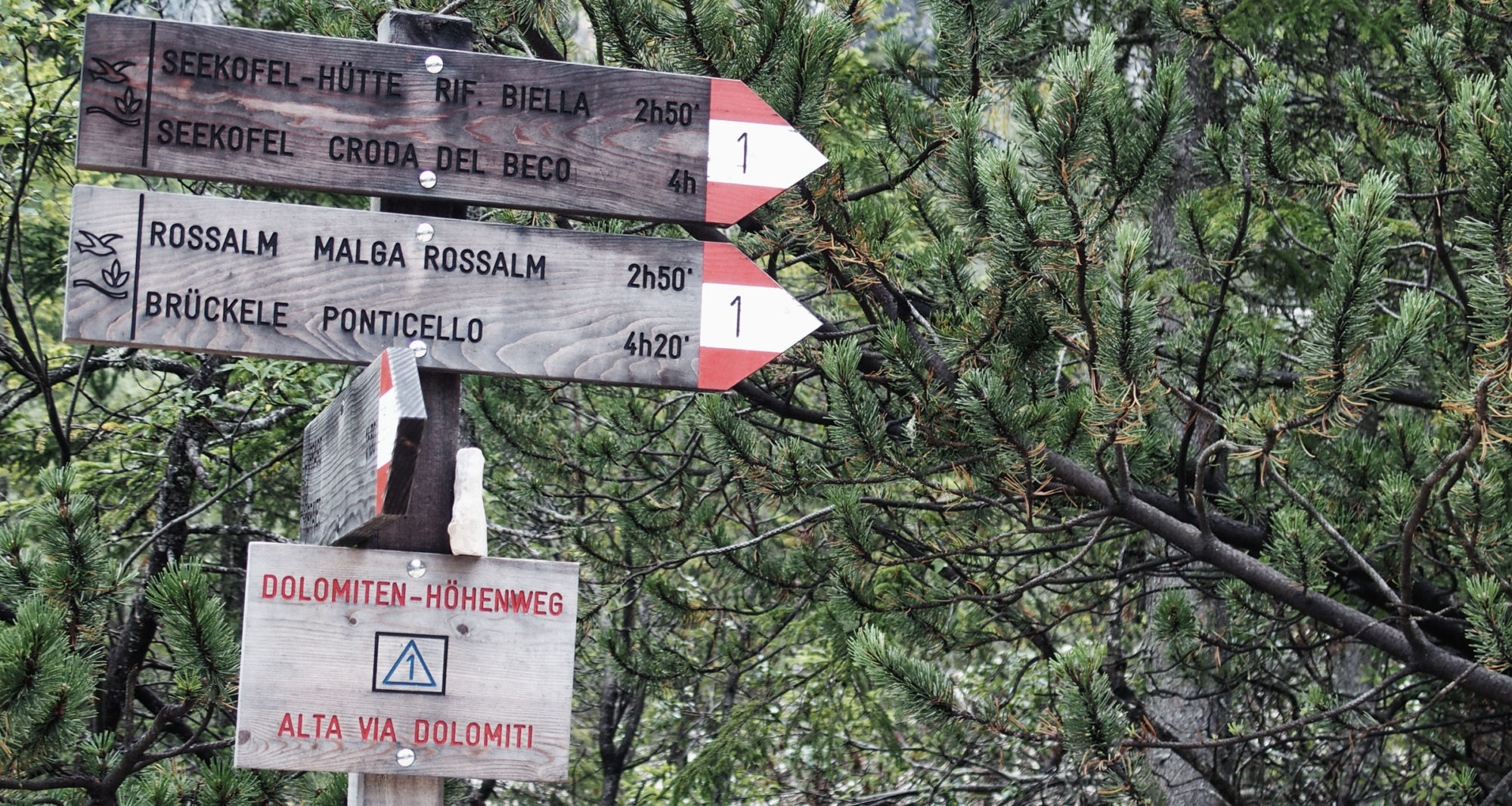 Wegweiser zum Seekofel und Dolomiten Höhenweg