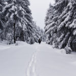 Wandern auf den Schneeberg im Tiefschnee