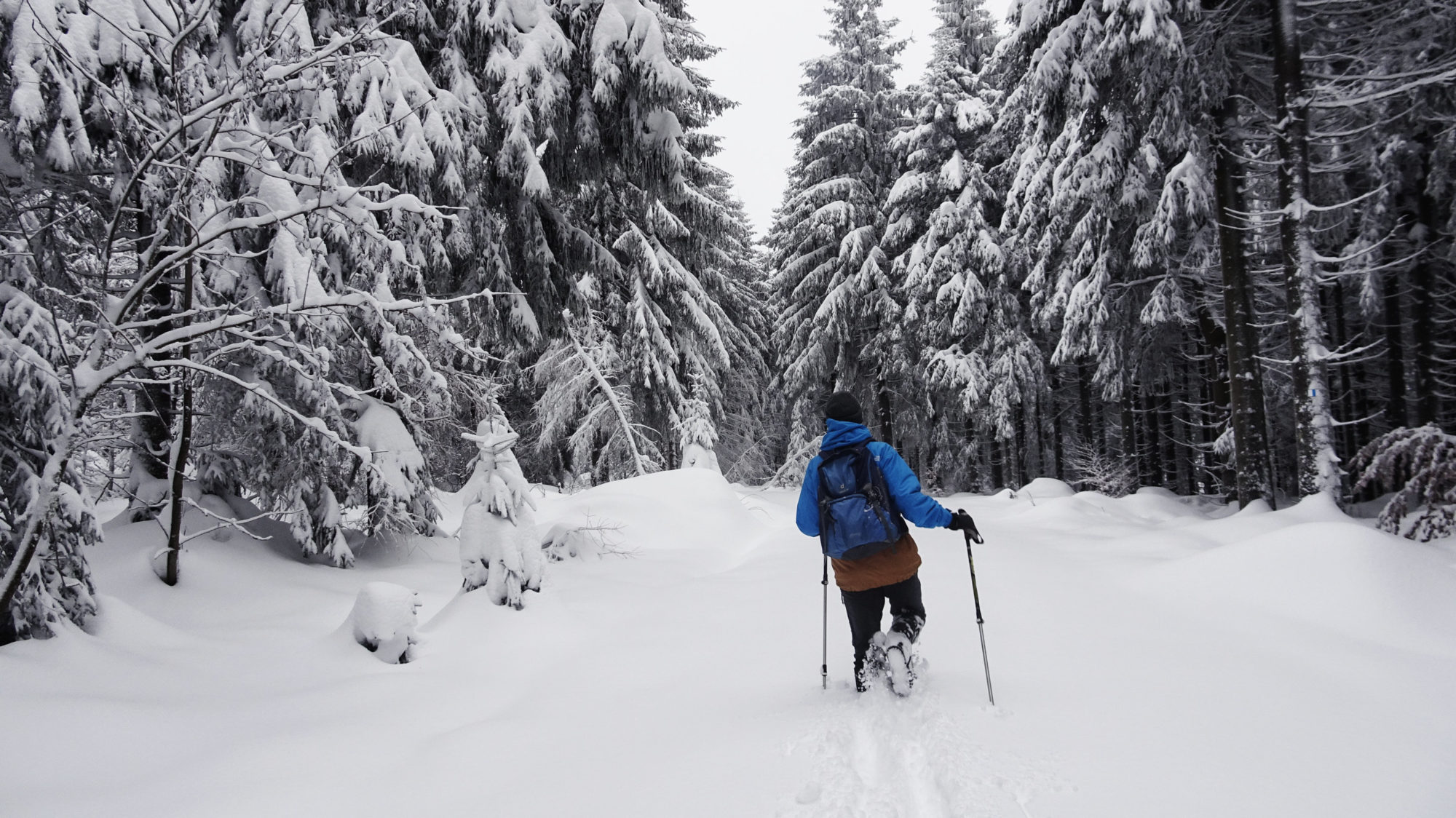 Kampf durch den Tiefschnee im Fichtelgebirge