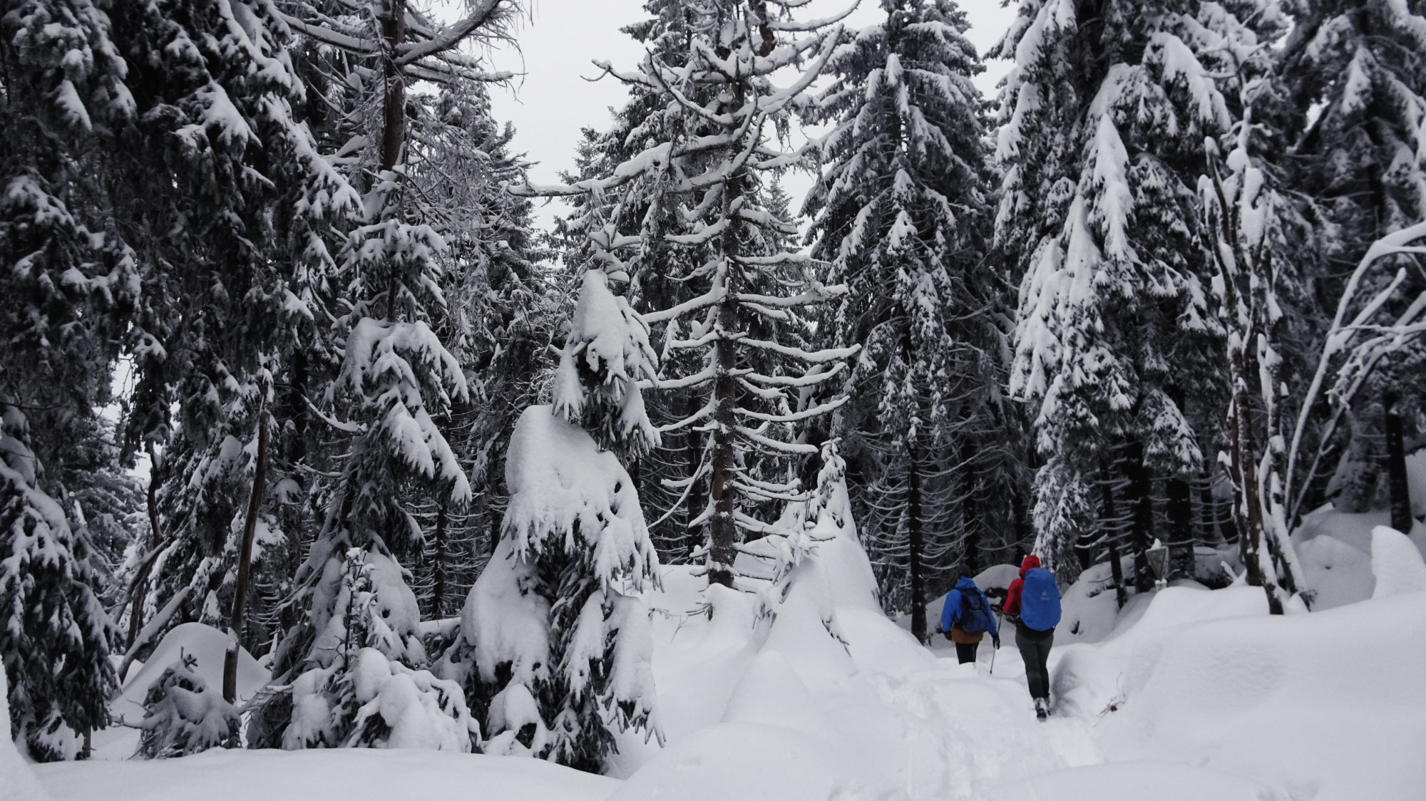 Auf dem Weg zum Seehaus