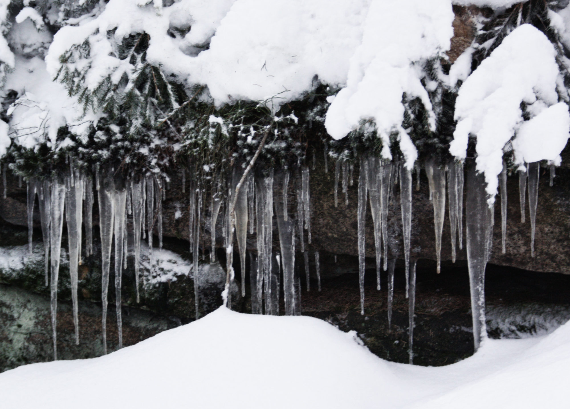 Eiszapfen am Rudolfstein