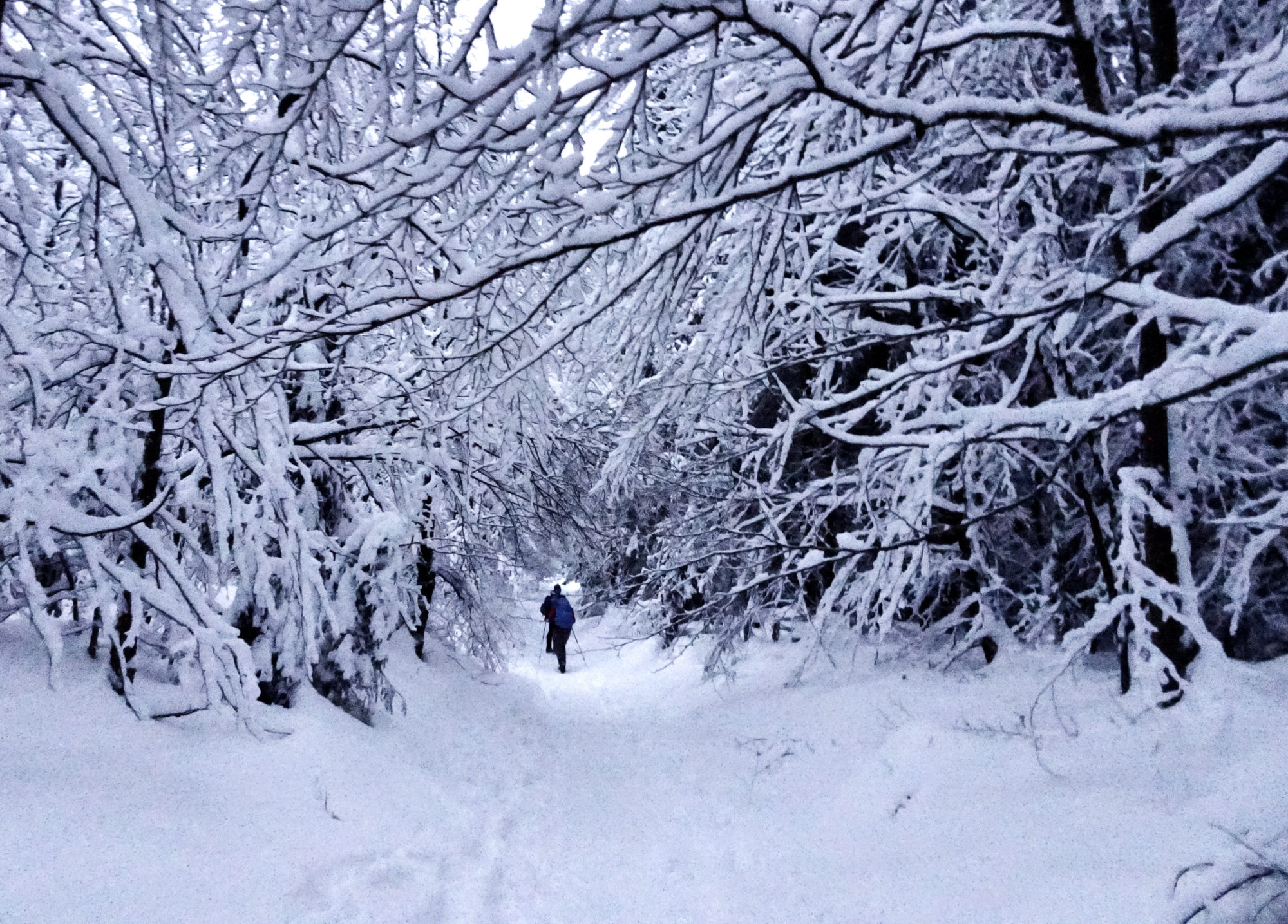 Traumhafter Abstieg vom Seehaus