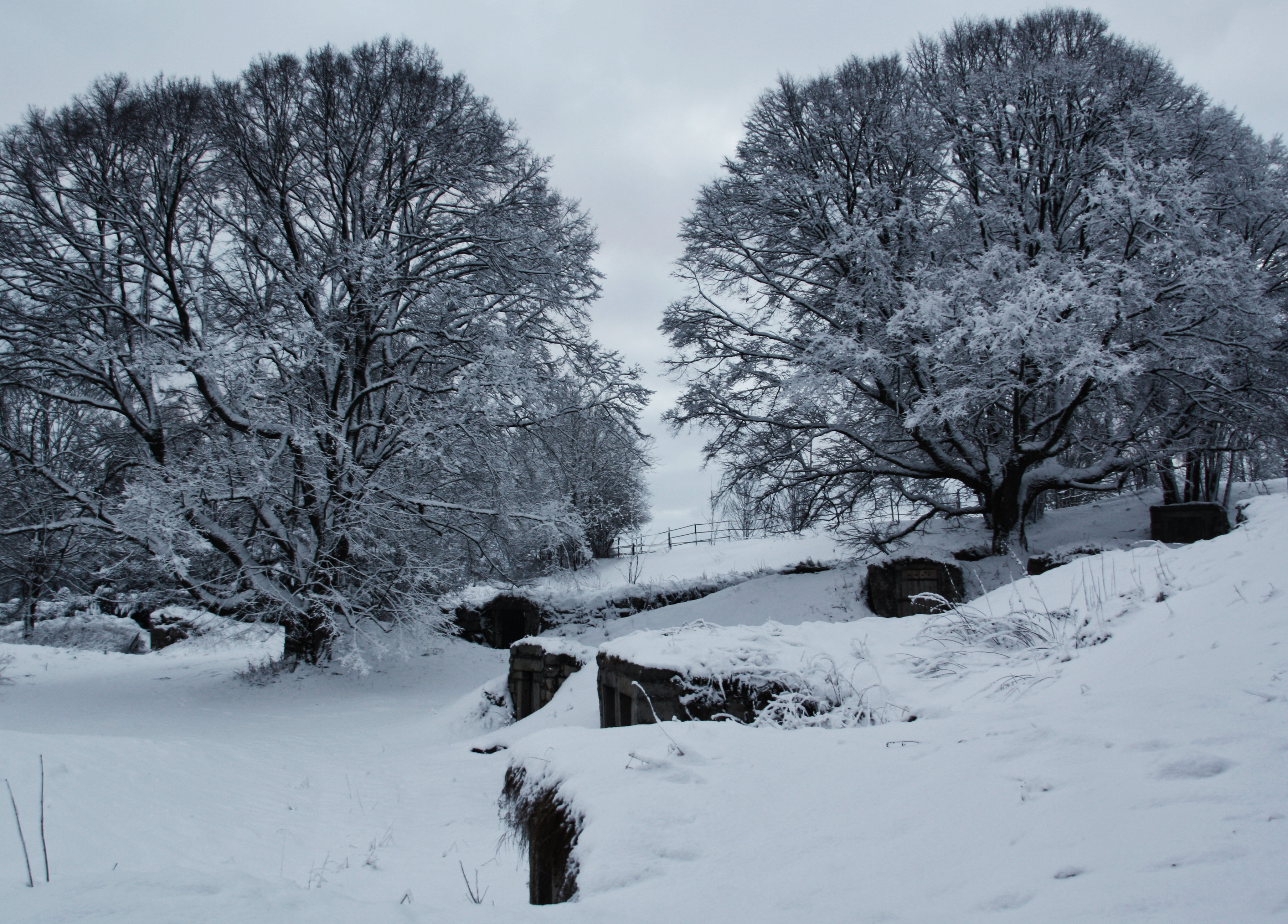 Felsenkeller in Weißenstadt