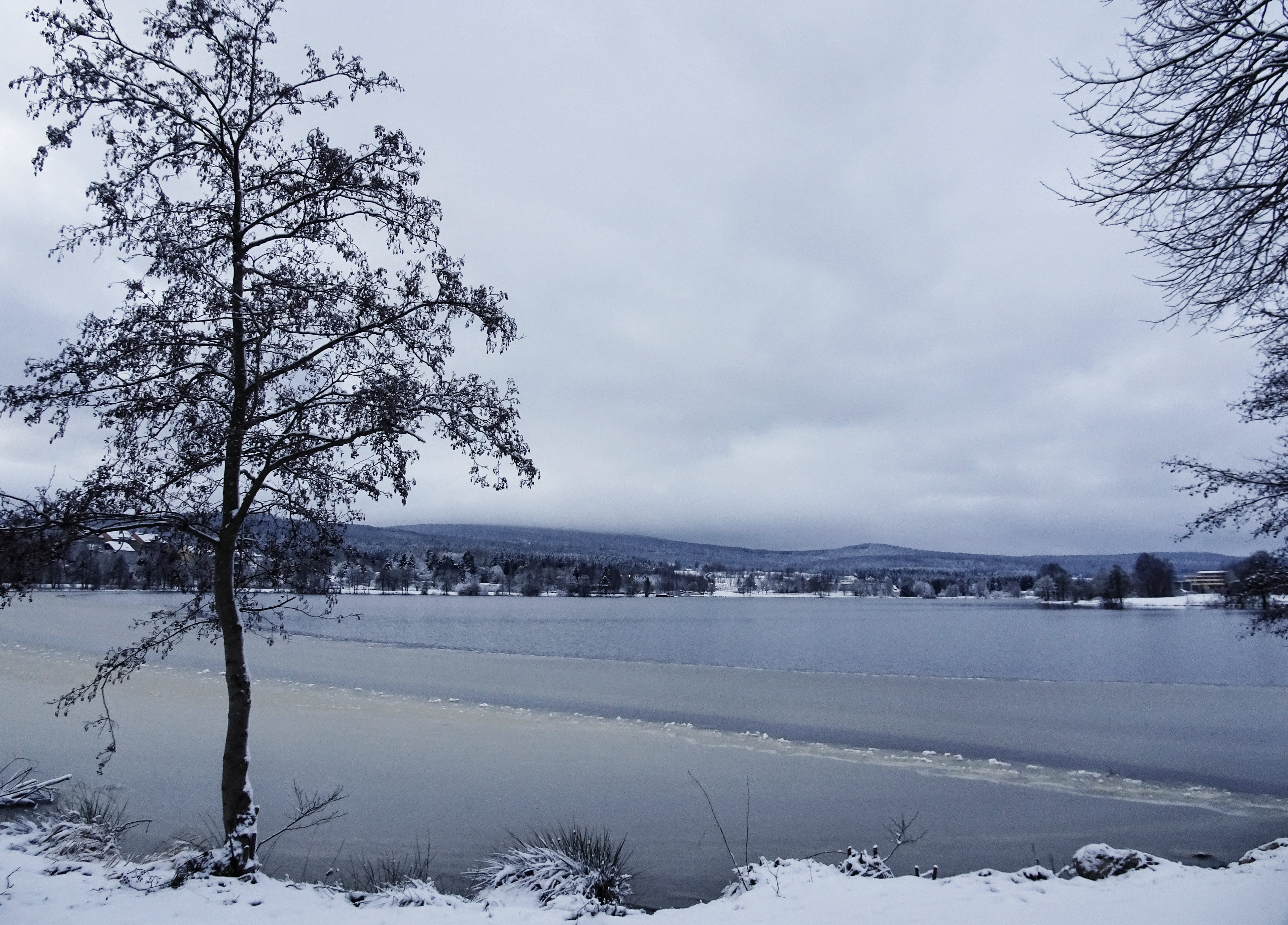 Weißenstädter See am frühen Wintermorgen