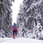 Wandern durch den weißen Wald im Fichtelgebirge