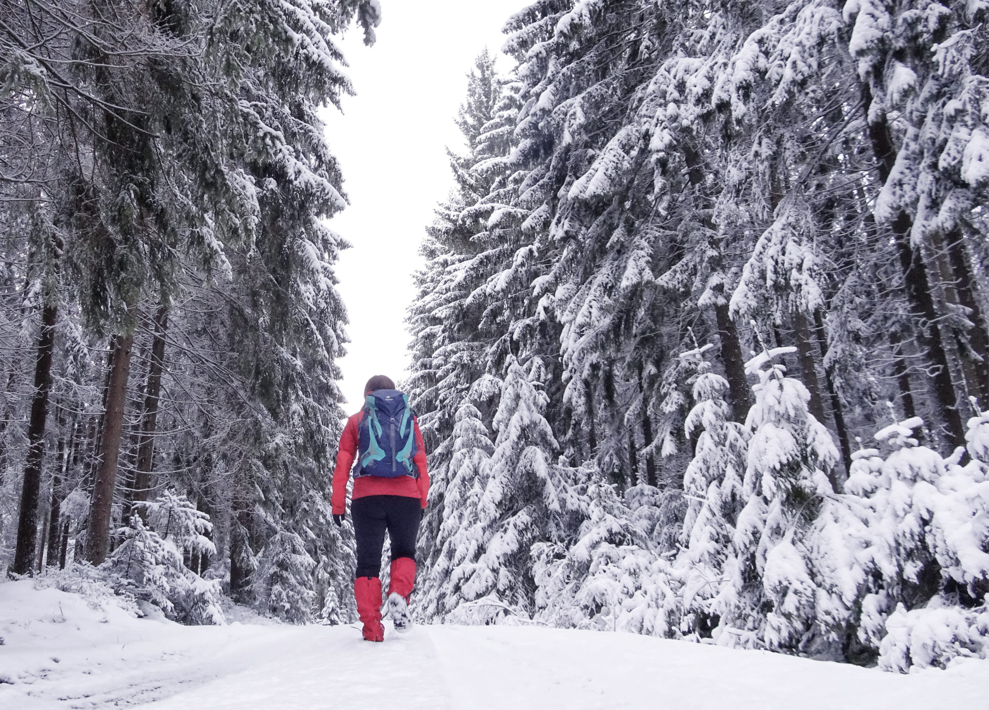 Wandern durch den weißen Wald im Fichtelgebirge