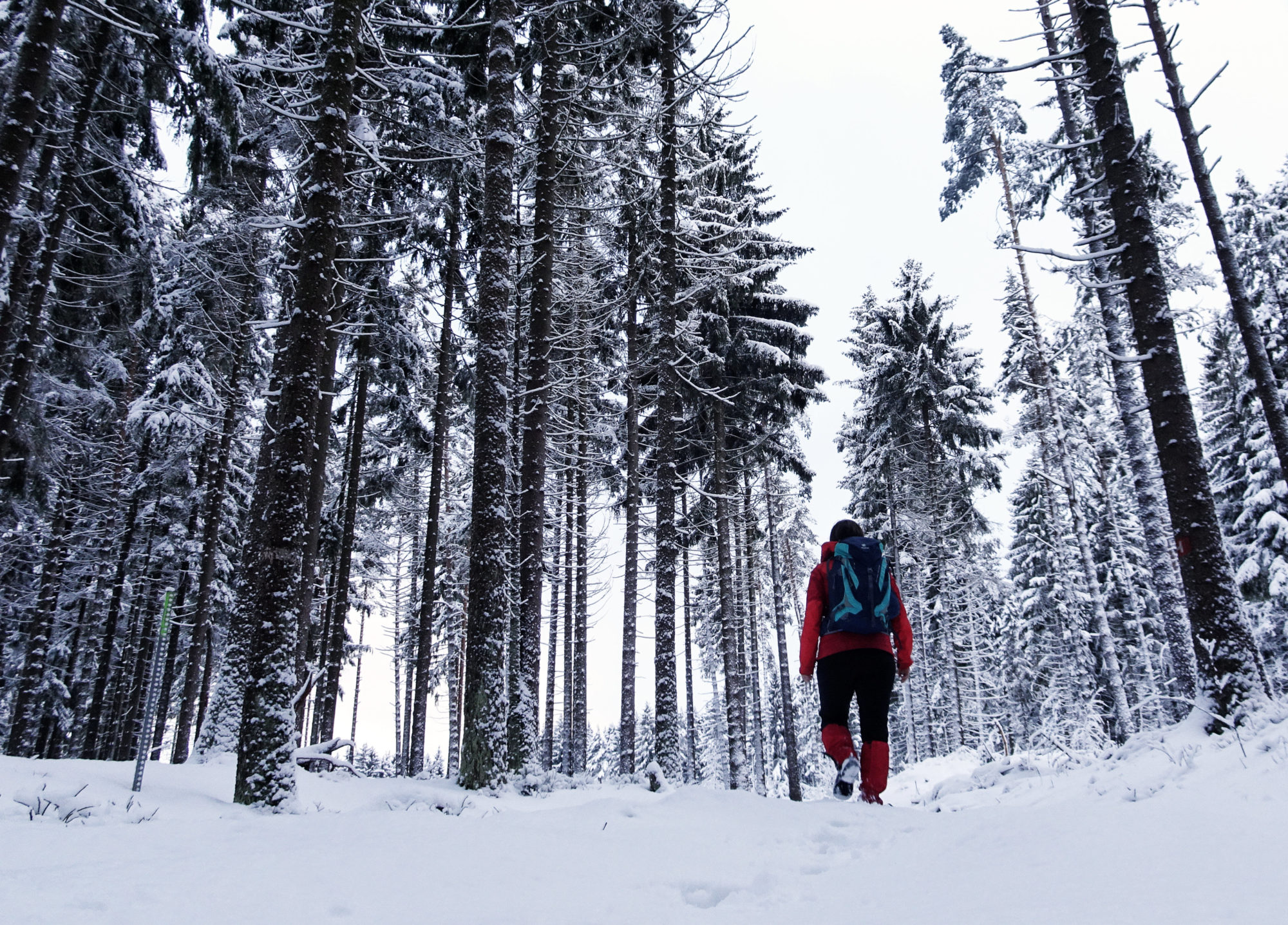 Wandern durch den verschneiten Wald im Fichtelgebirge