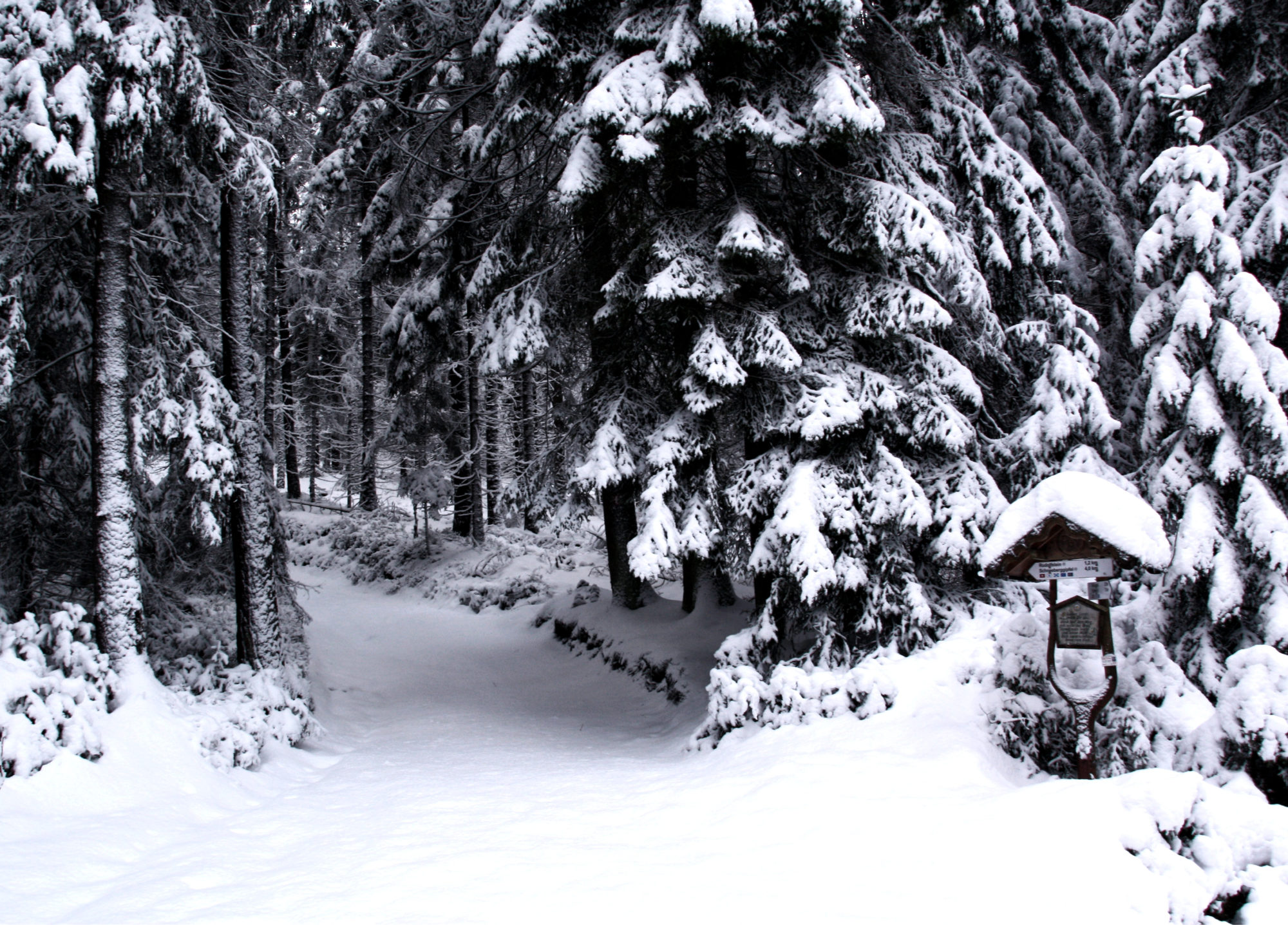 Verschneite Wegweiser Fichtelgebirge
