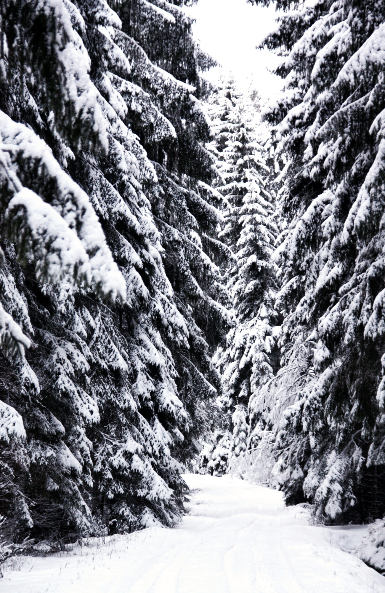 Winter Wanderweg im Fichtelgebirge