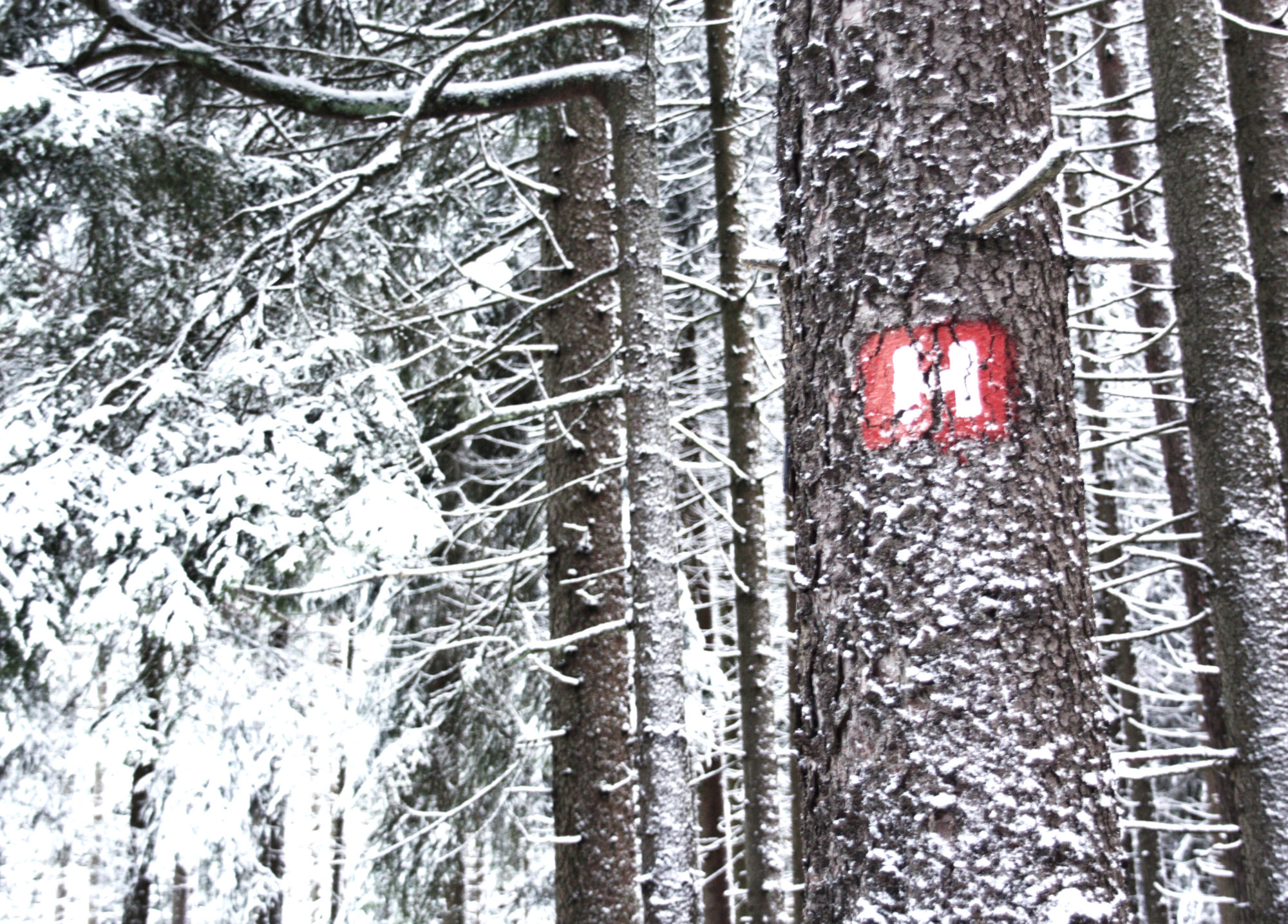 Höhenweg Beschilderung im Fichtelgebirge