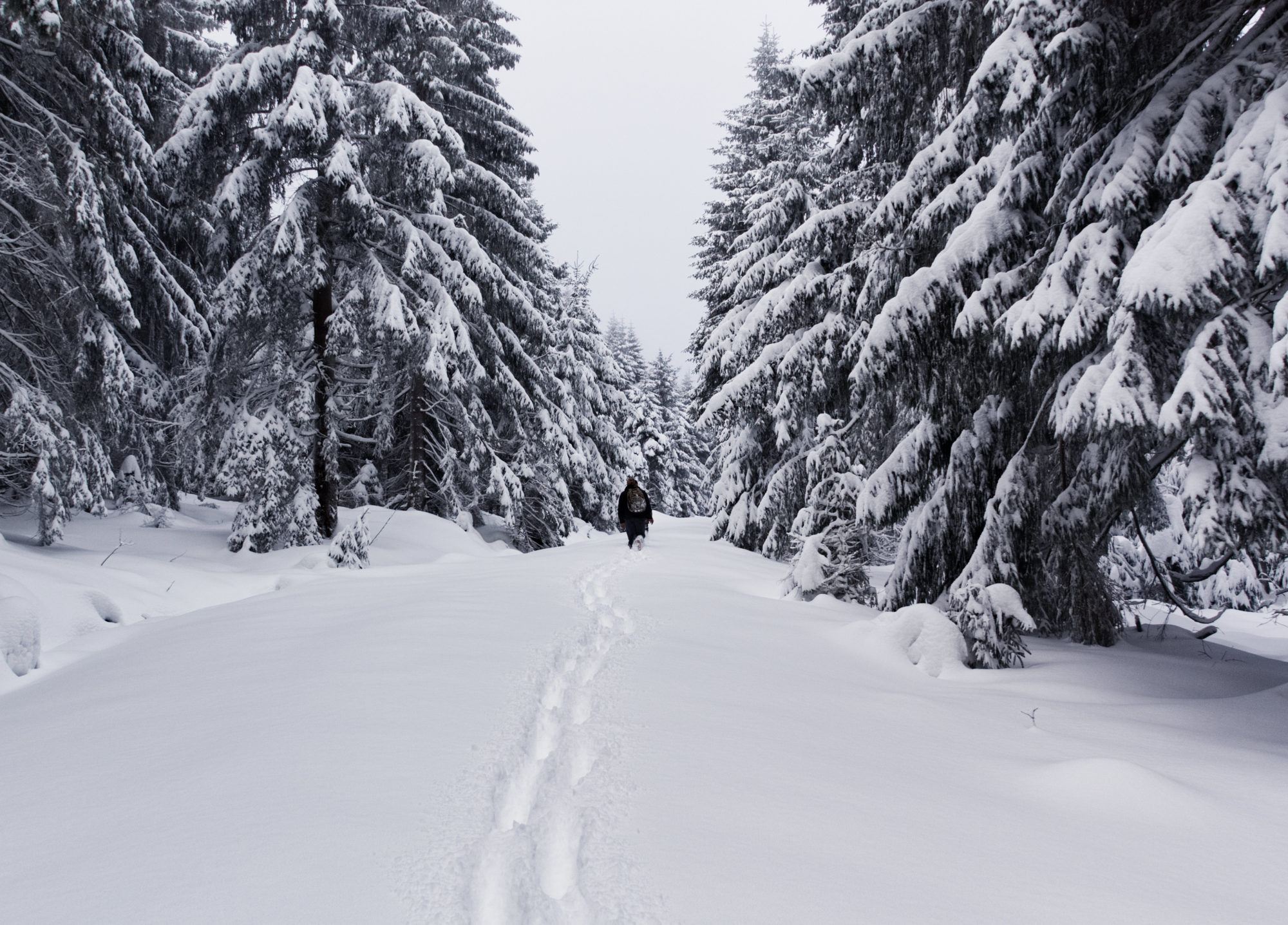 Wanderung auf den Schneeberg im Tiefschnee