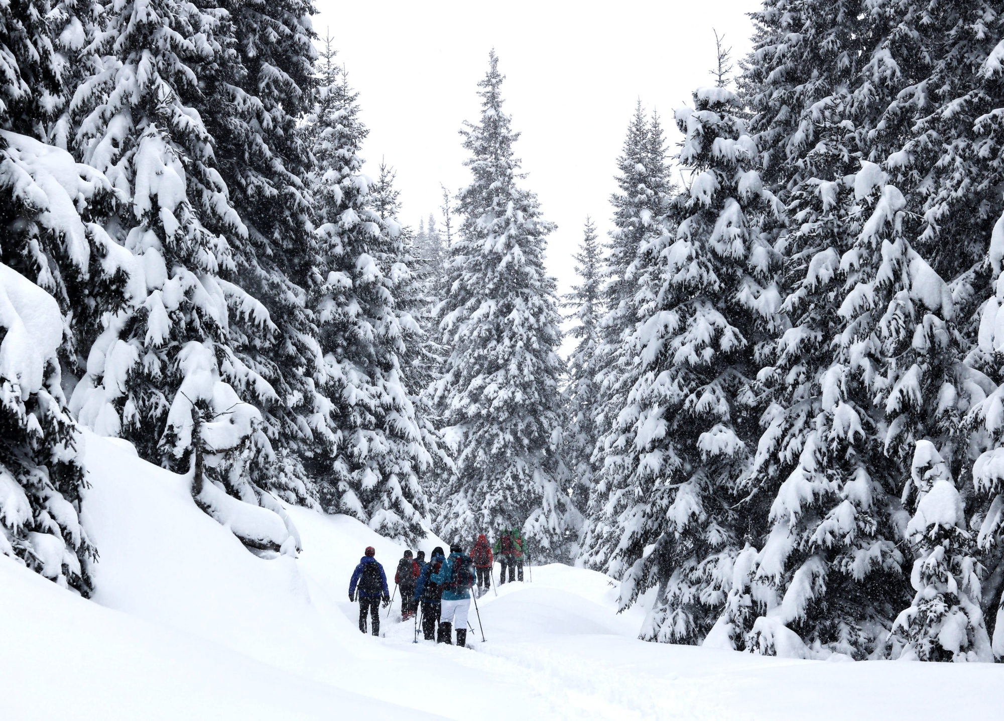 Schneeschuhwanderungen Brennerberge Tiefschnee
